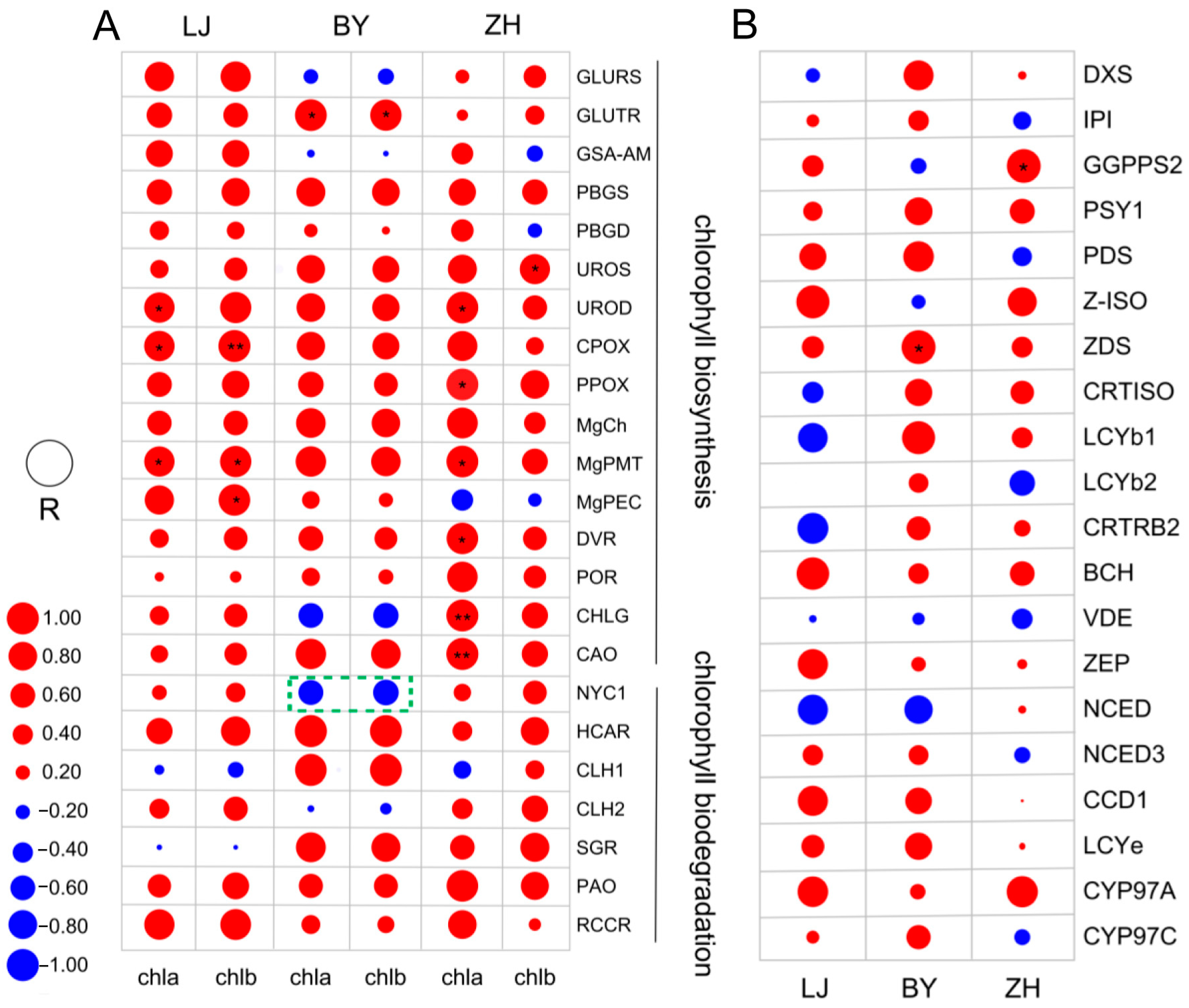Ijms 25 10772 g006 Ijms 25 10772 g006