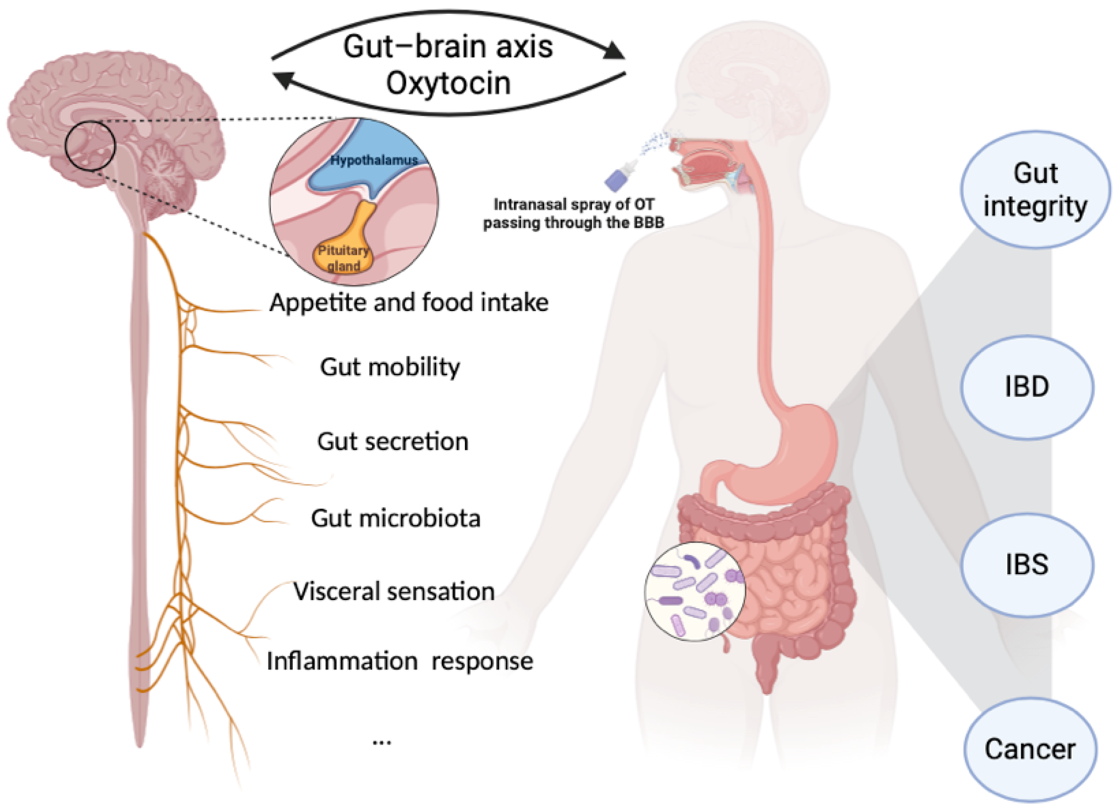 Ijms 25 10935 g001 Ijms 25 10935 g001