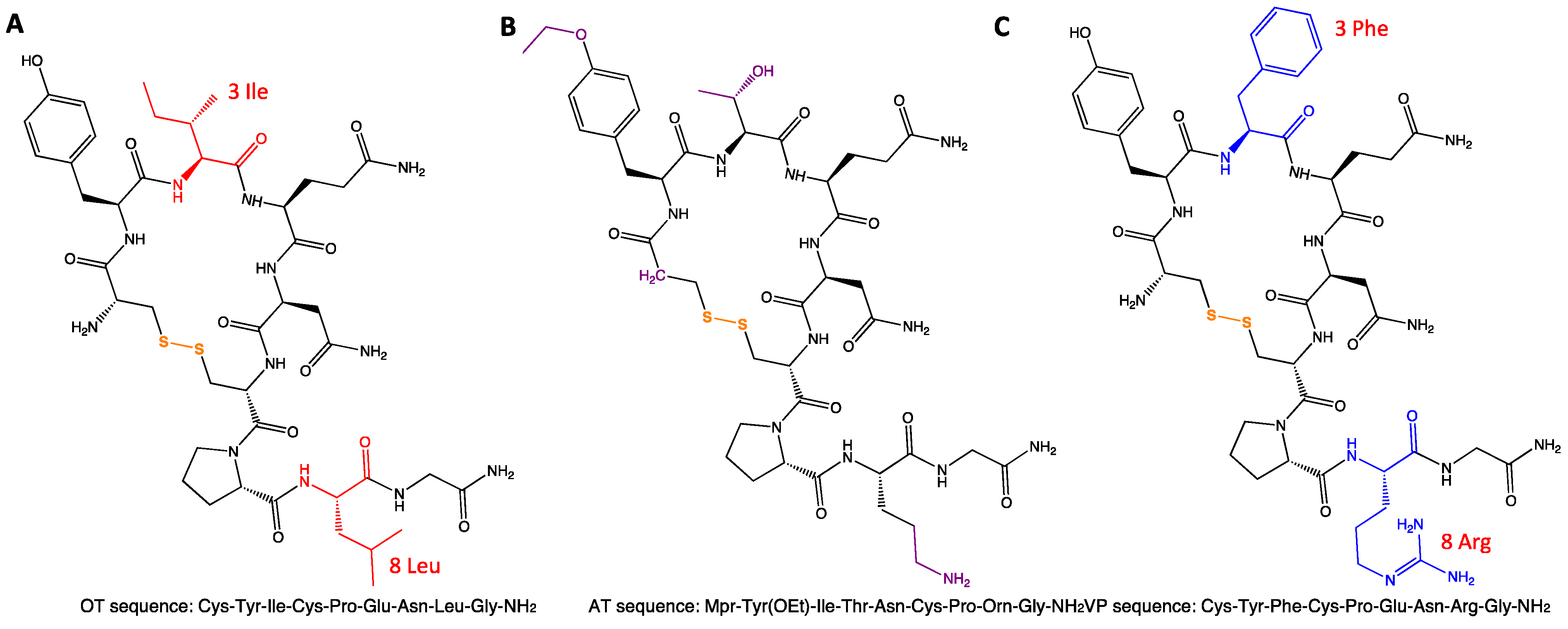Ijms 25 10935 g002 Ijms 25 10935 g002