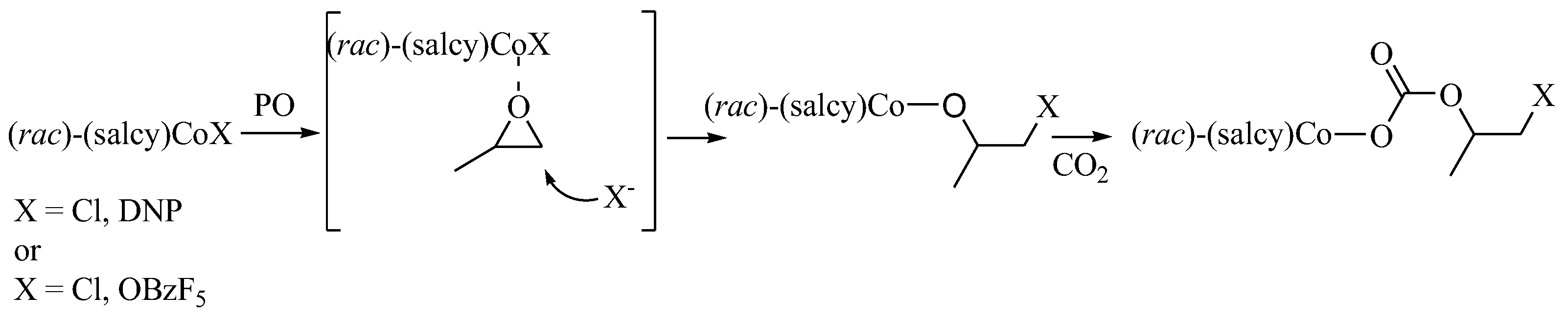 Ijms 25 10946 sch006