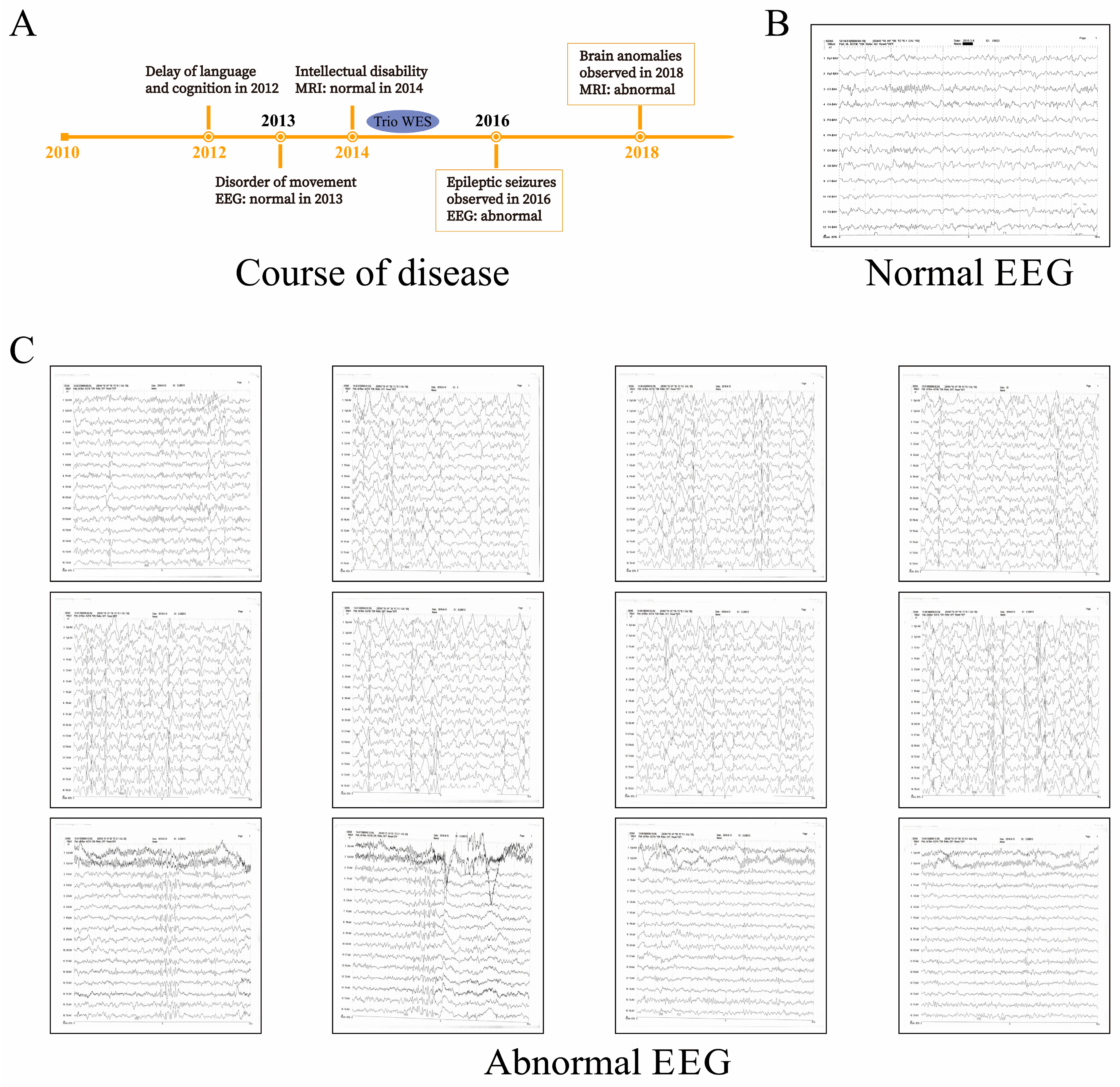 Ijms 25 10983 g001 Ijms 25 10983 g001