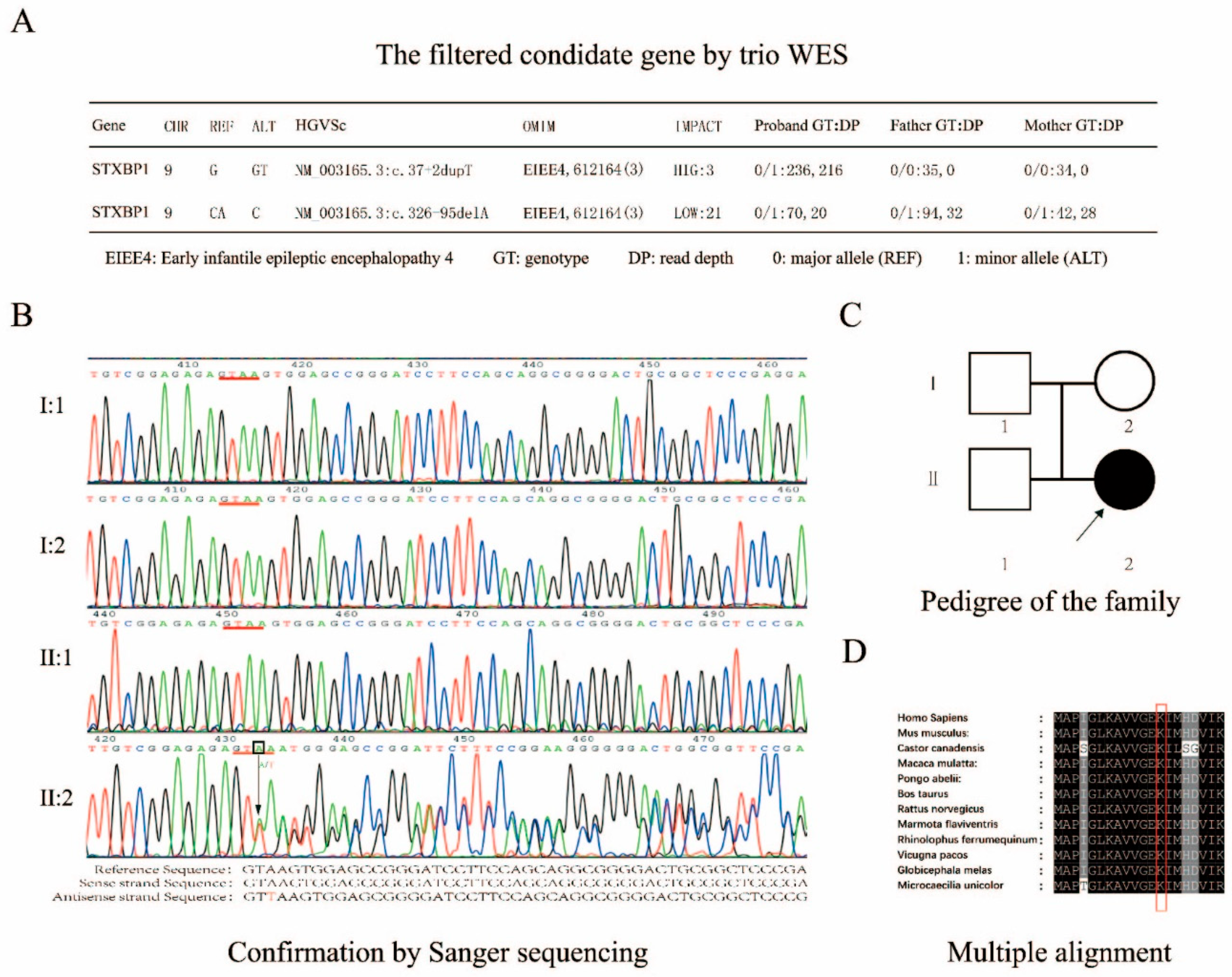 Ijms 25 10983 g002 Ijms 25 10983 g002