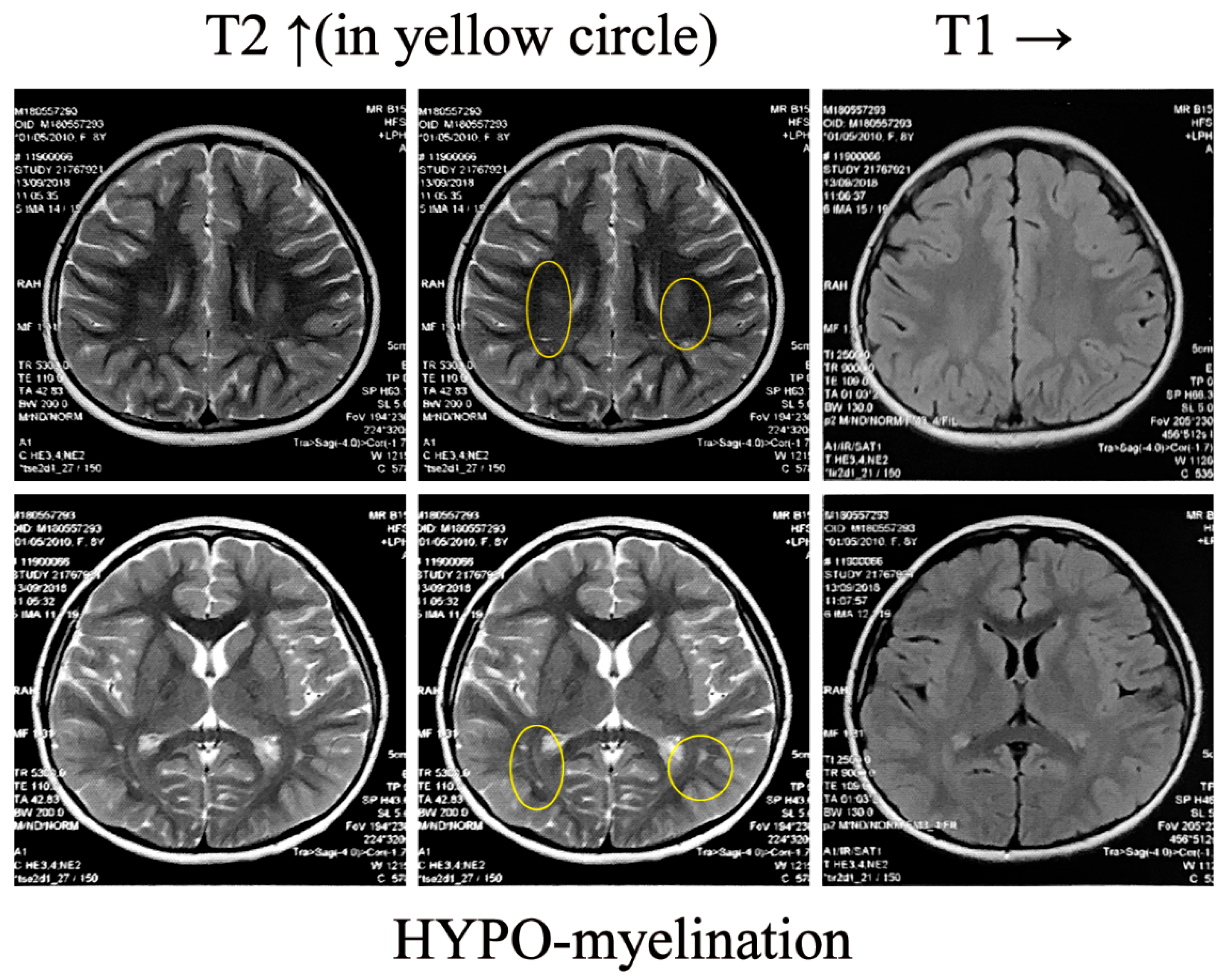 Ijms 25 10983 g004 Ijms 25 10983 g004