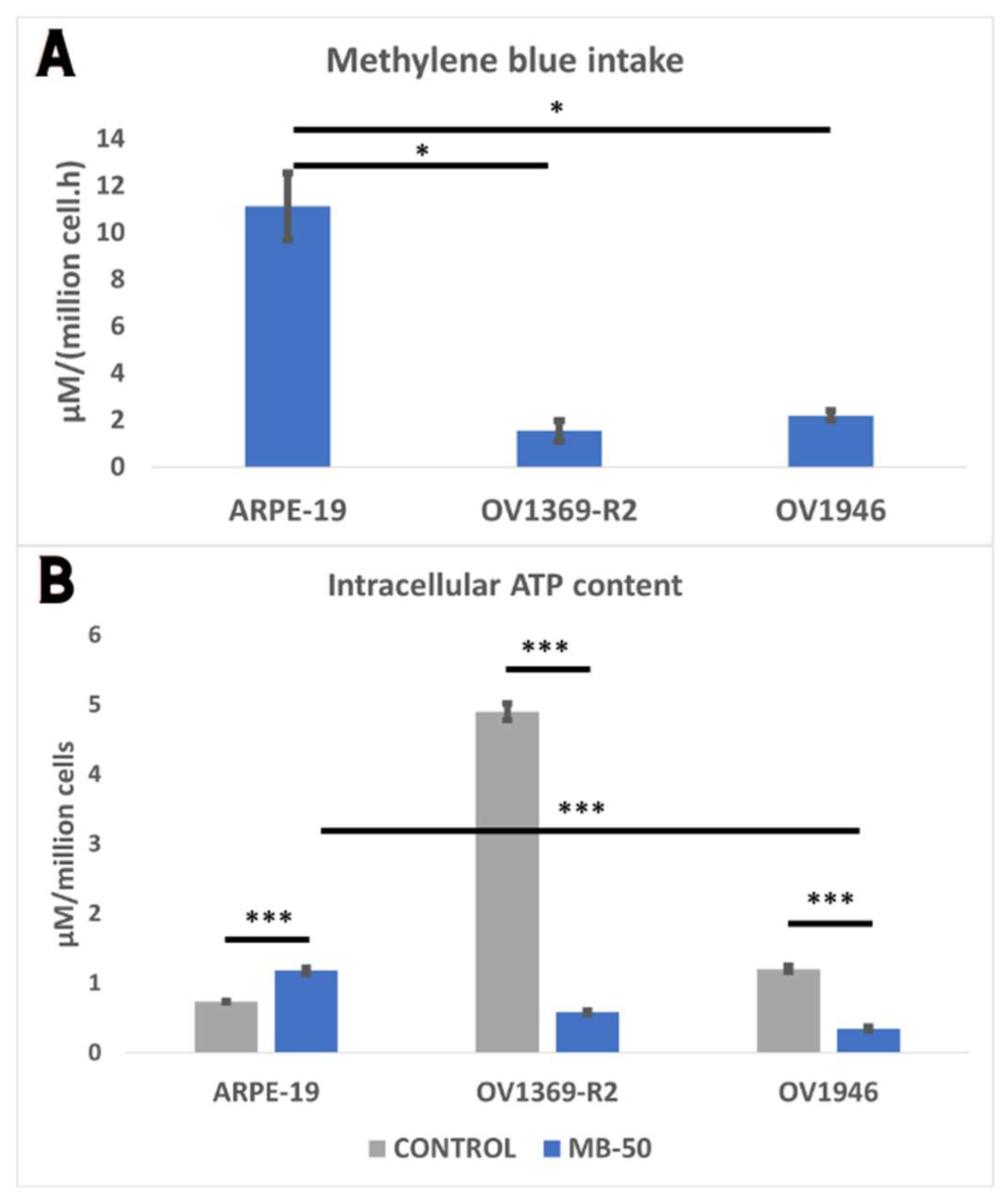 Ijms 25 11005 g001 Ijms 25 11005 g001