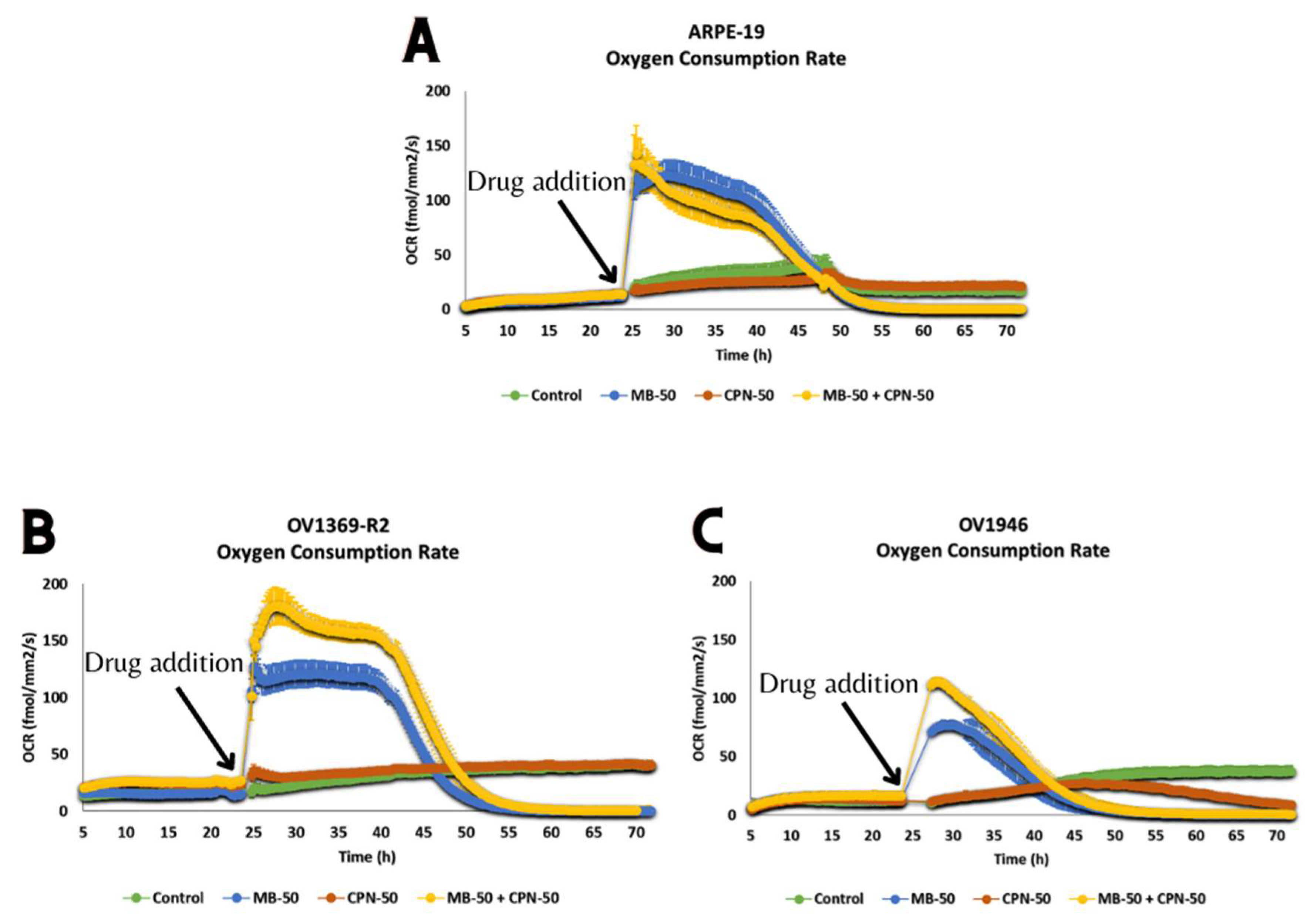 Ijms 25 11005 g005 Ijms 25 11005 g005