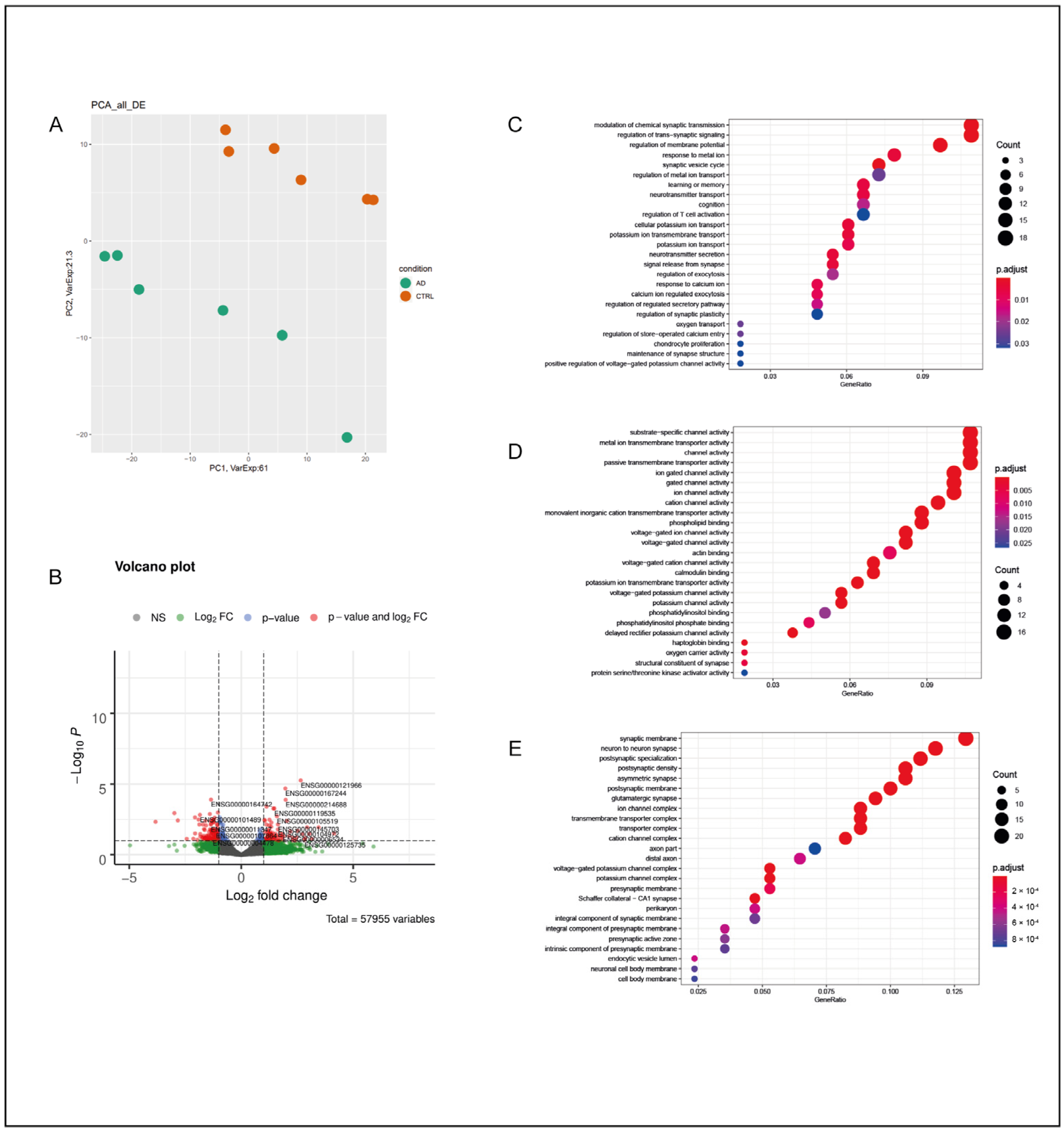 Ijms 25 11117 g001 Ijms 25 11117 g001