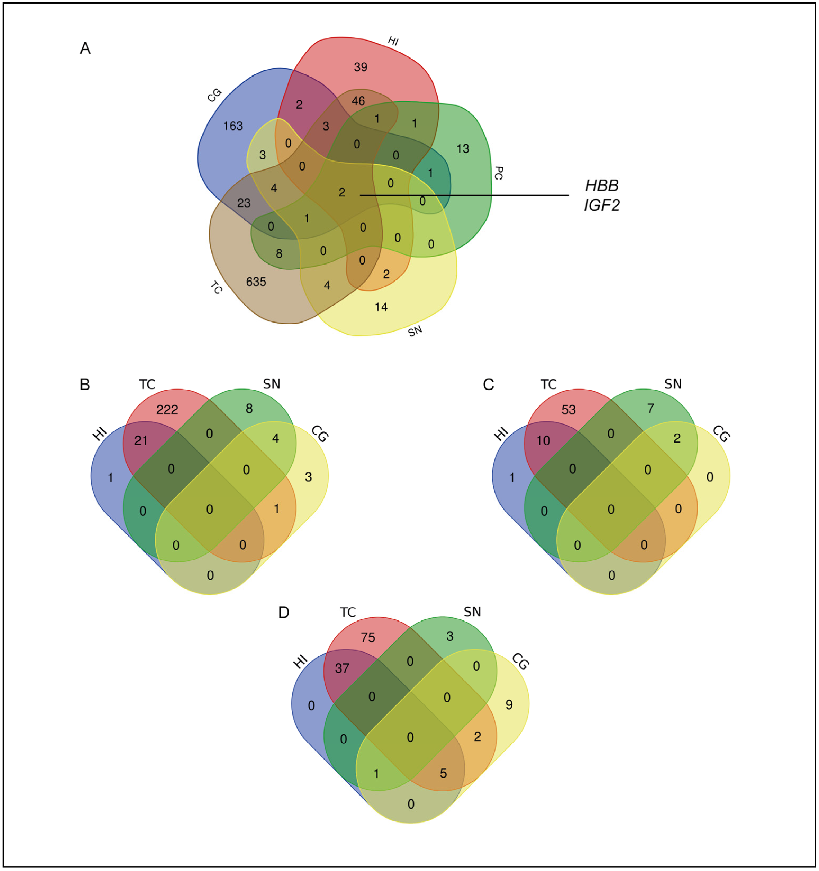 Ijms 25 11117 g006 Ijms 25 11117 g006