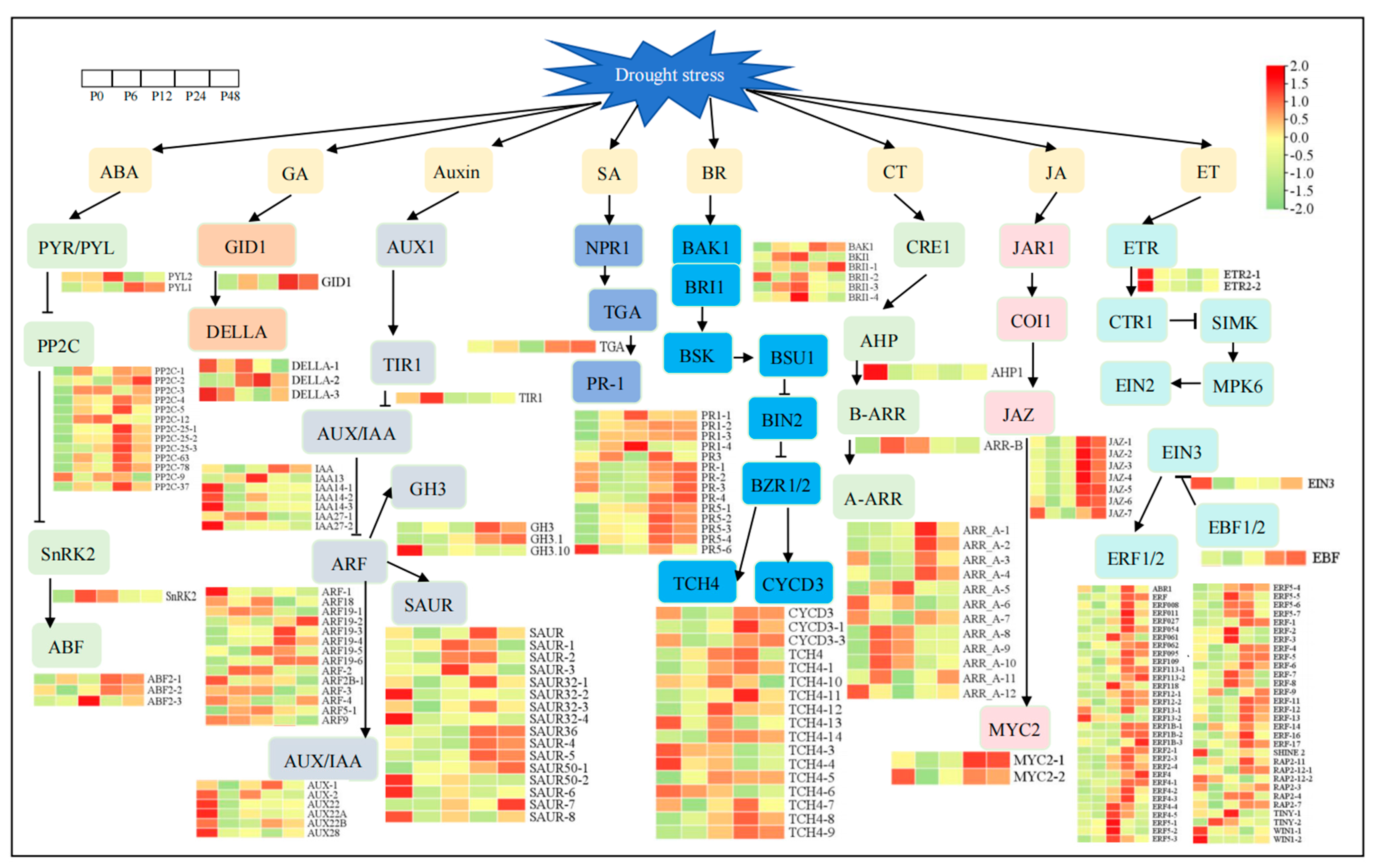 Ijms 25 11135 g004