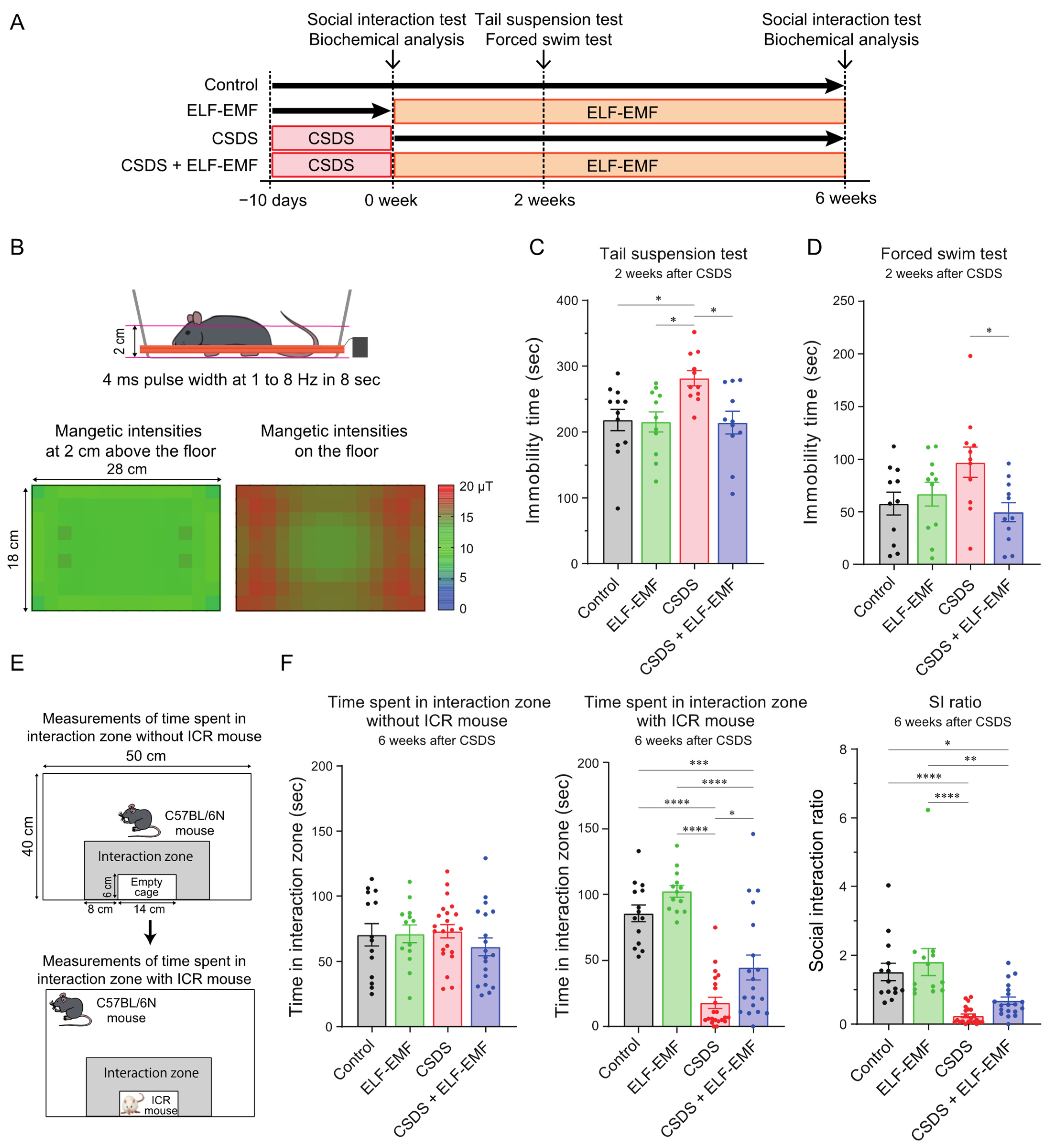 Ijms 25 11315 g001 Ijms 25 11315 g001