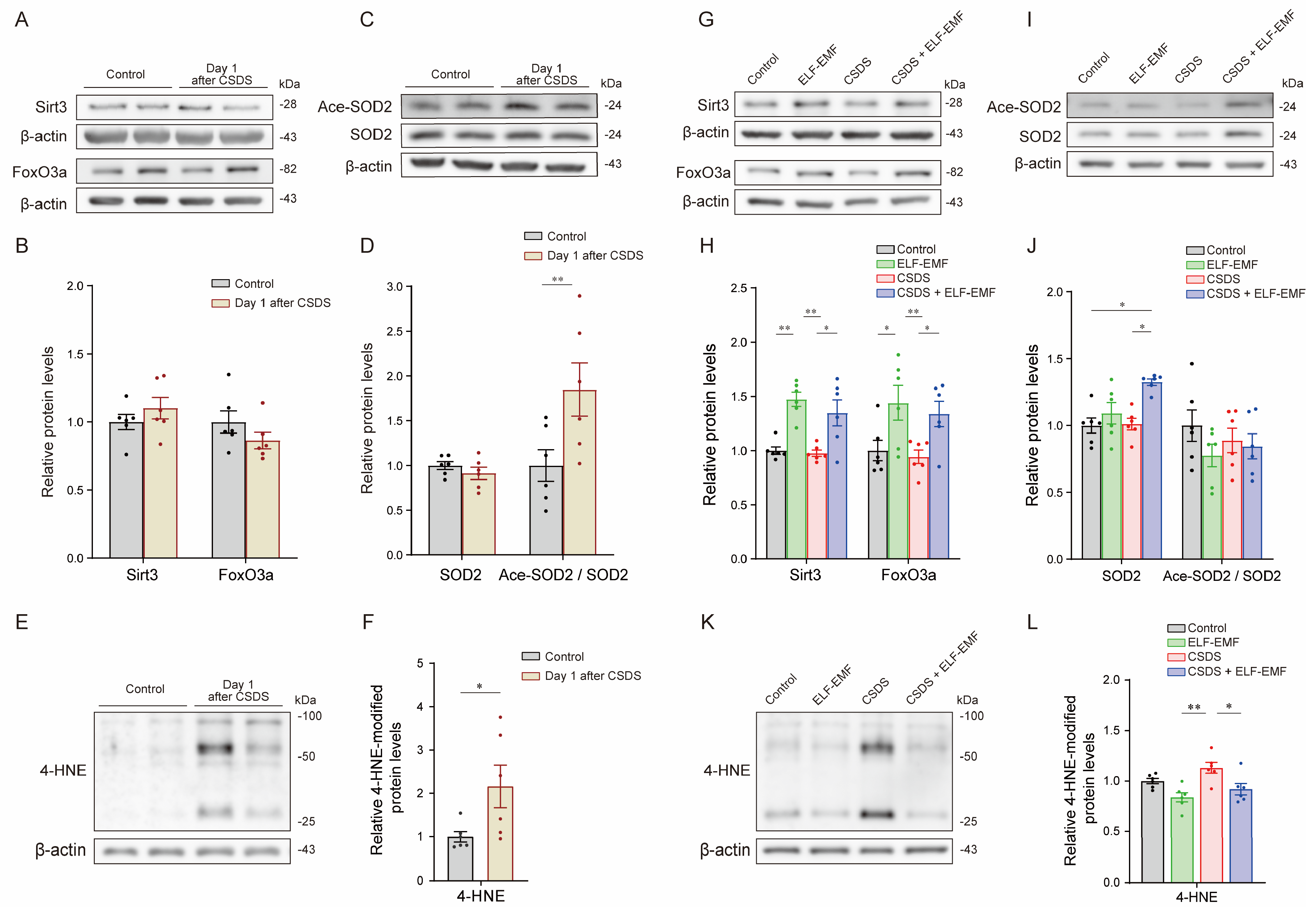 Ijms 25 11315 g003 Ijms 25 11315 g003