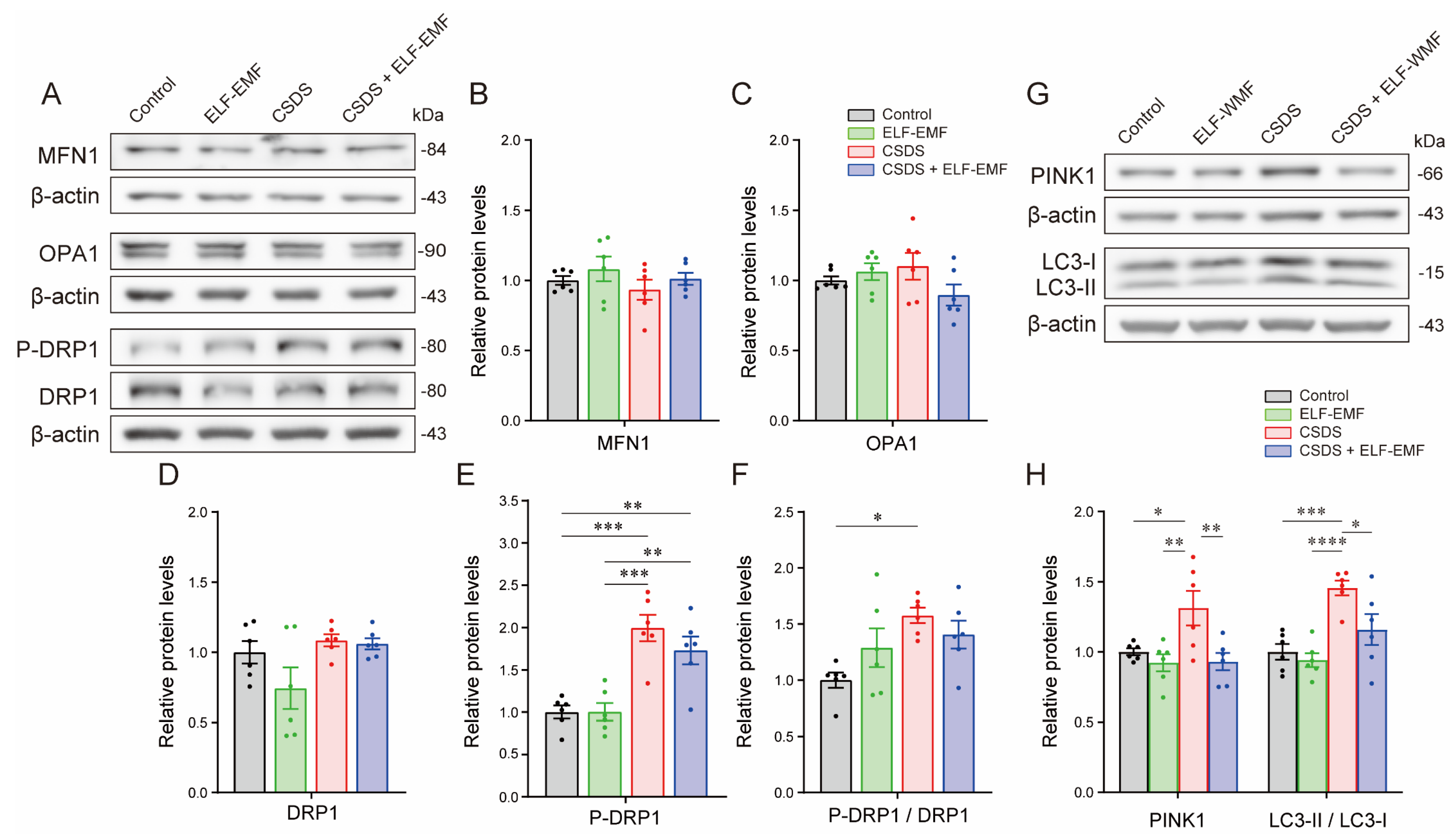 Ijms 25 11315 g004 Ijms 25 11315 g004