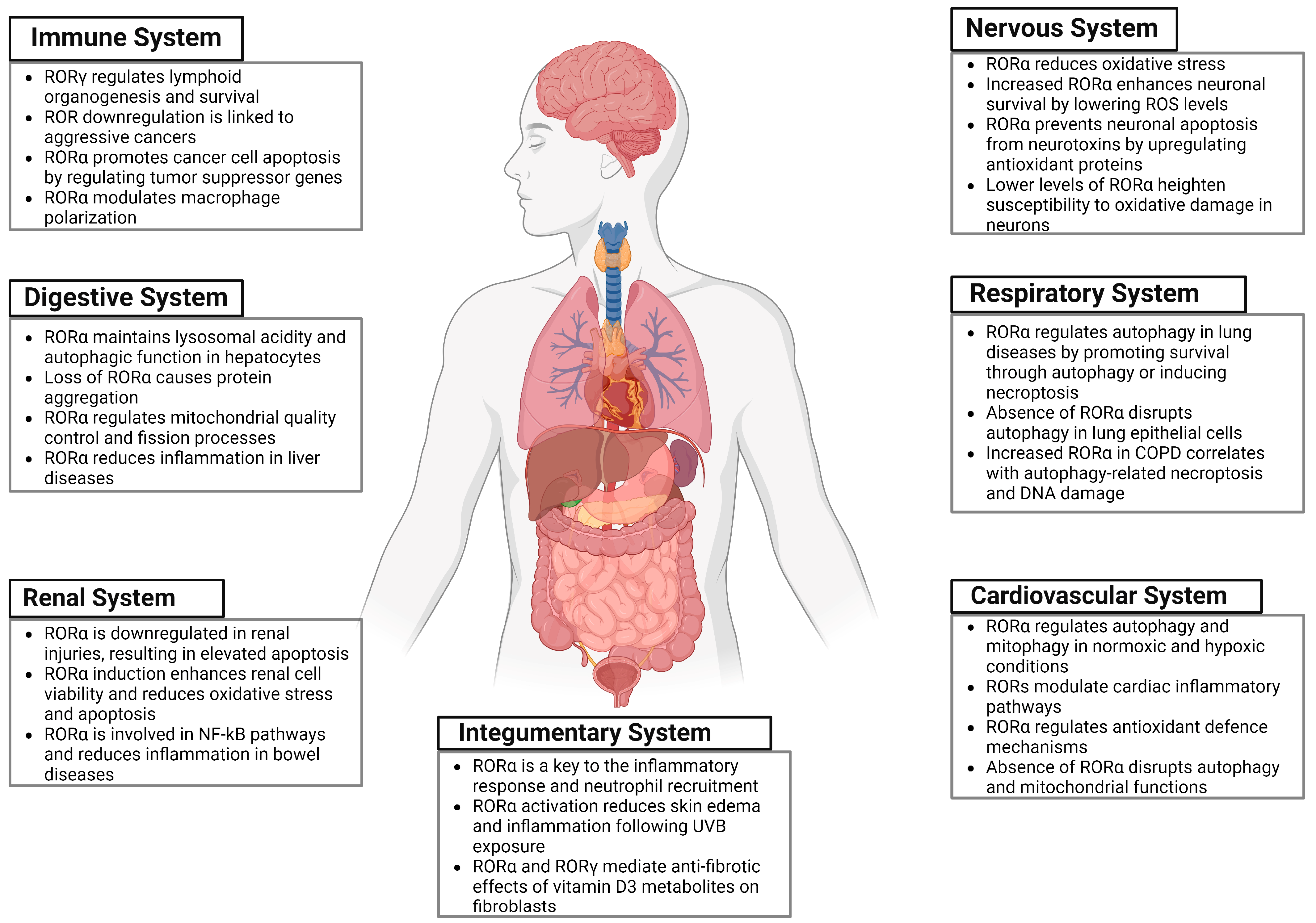 Ijms 25 11340 g001 Ijms 25 11340 g001