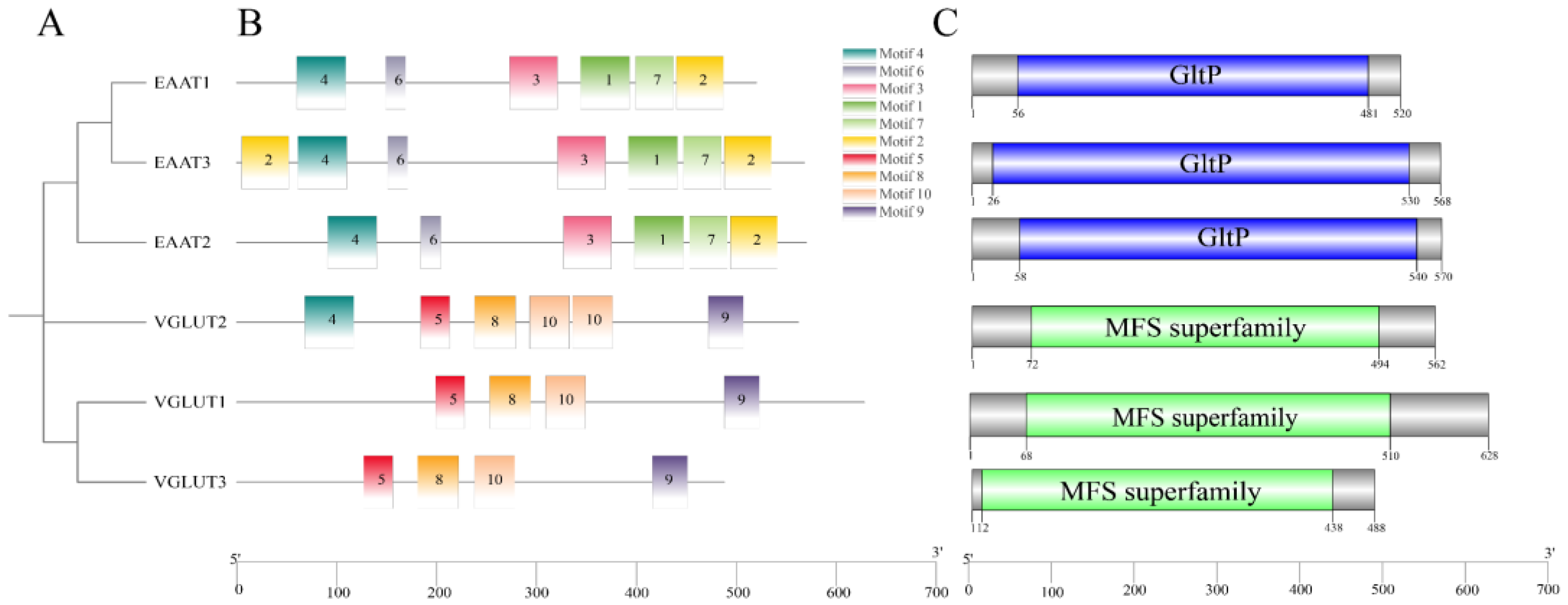 Ijms 25 11342 g001 Ijms 25 11342 g001