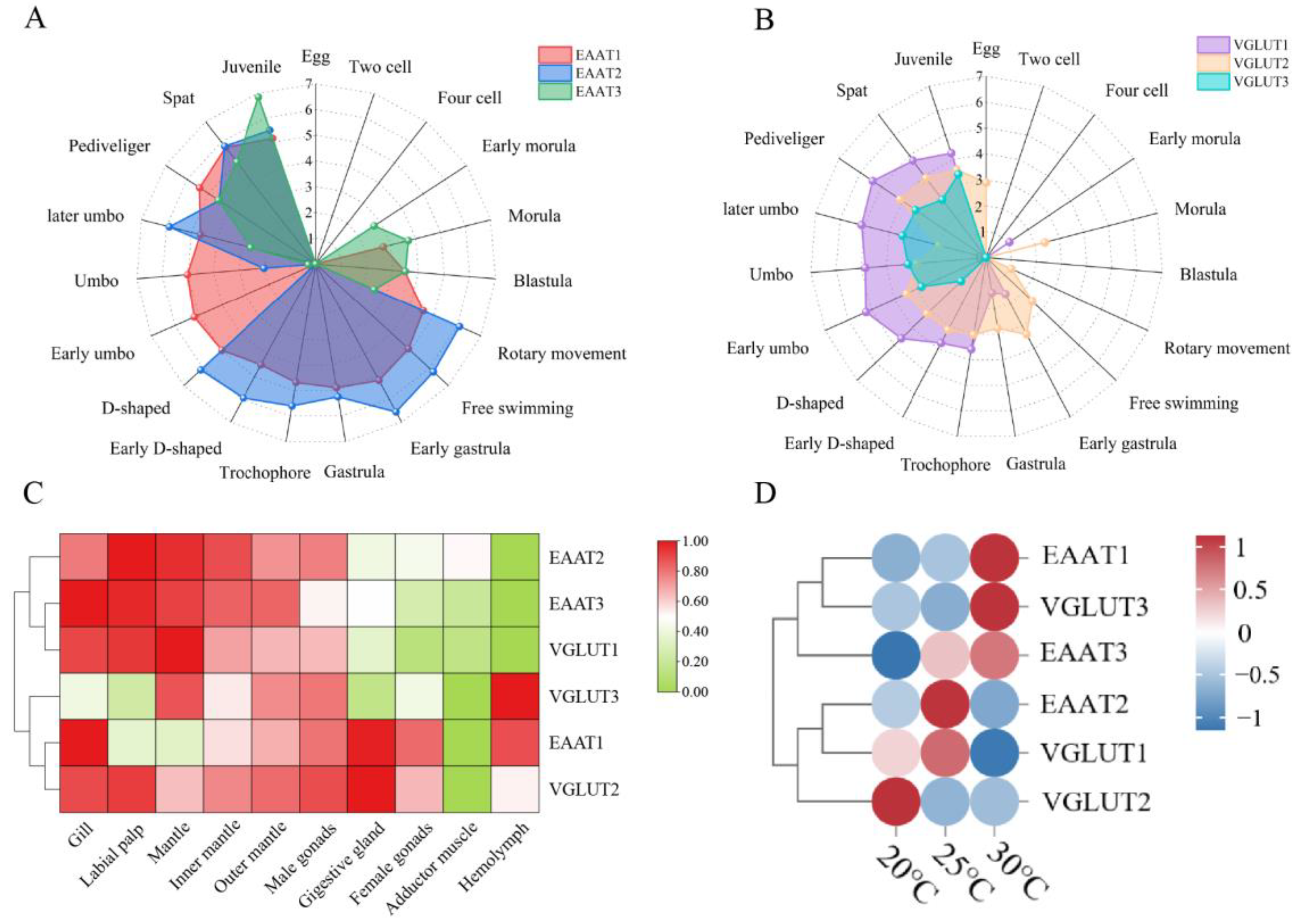 Ijms 25 11342 g003 Ijms 25 11342 g003