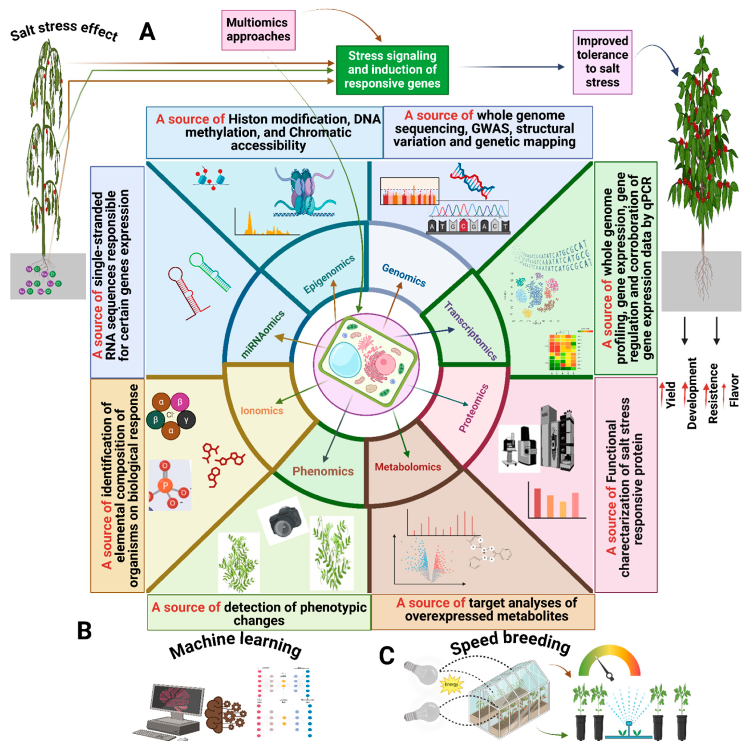 Ijms 25 11360 g001 Ijms 25 11360 g001