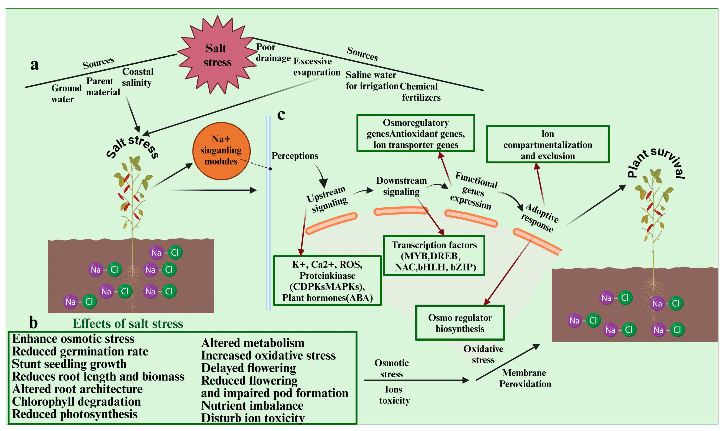 Ijms 25 11360 g002 Ijms 25 11360 g002