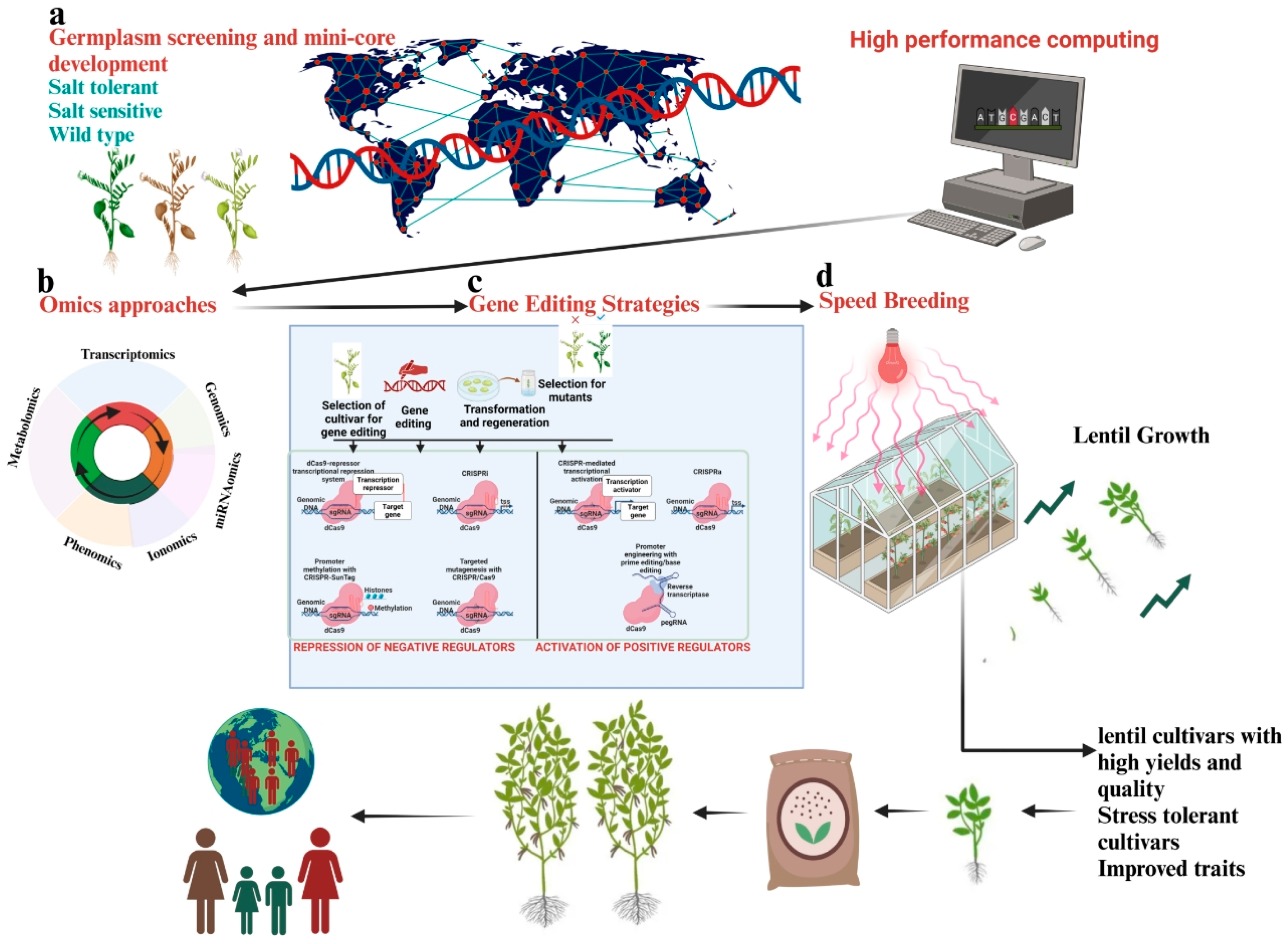 Ijms 25 11360 g004 Ijms 25 11360 g004