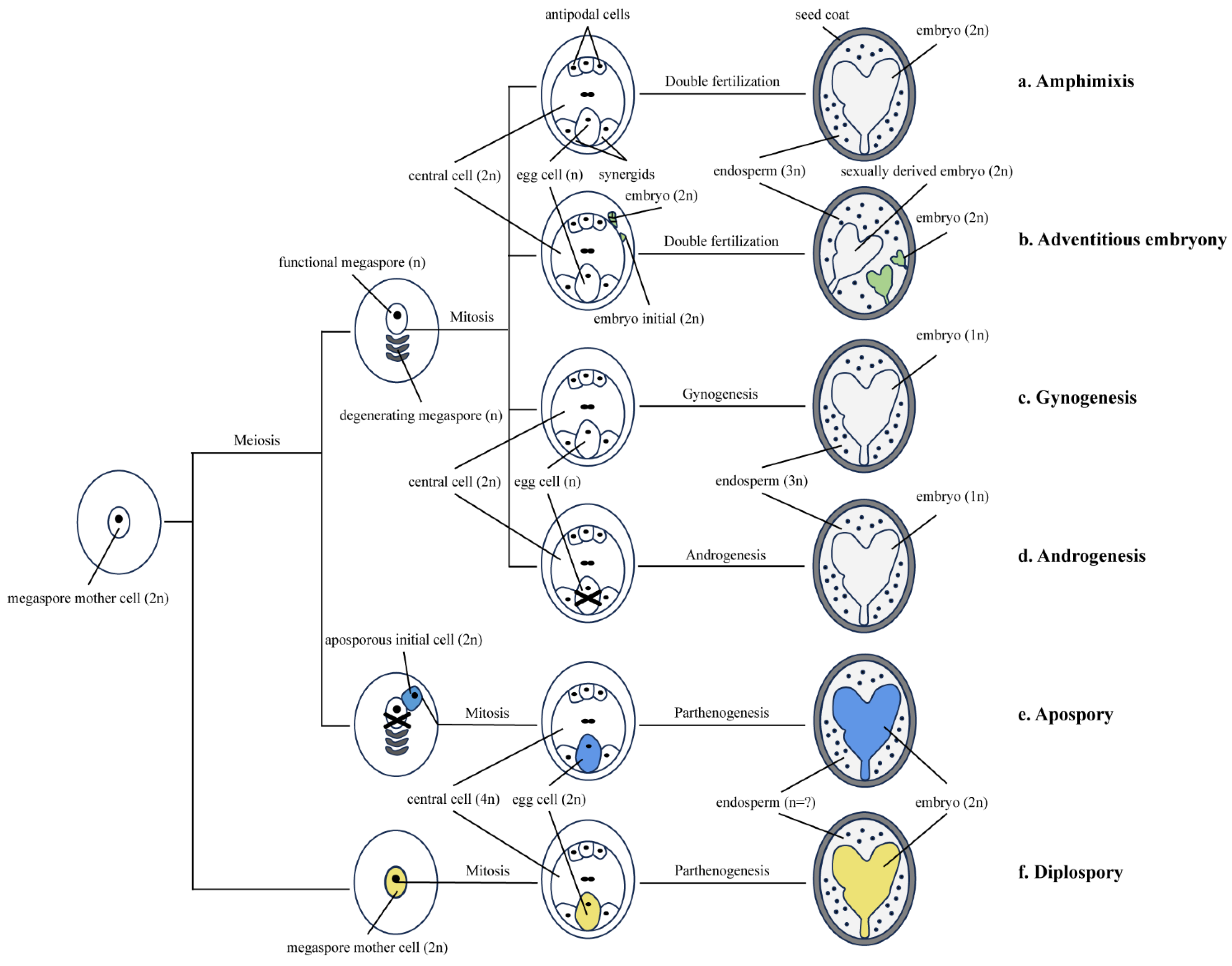 Ijms 25 11378 g001 Ijms 25 11378 g001