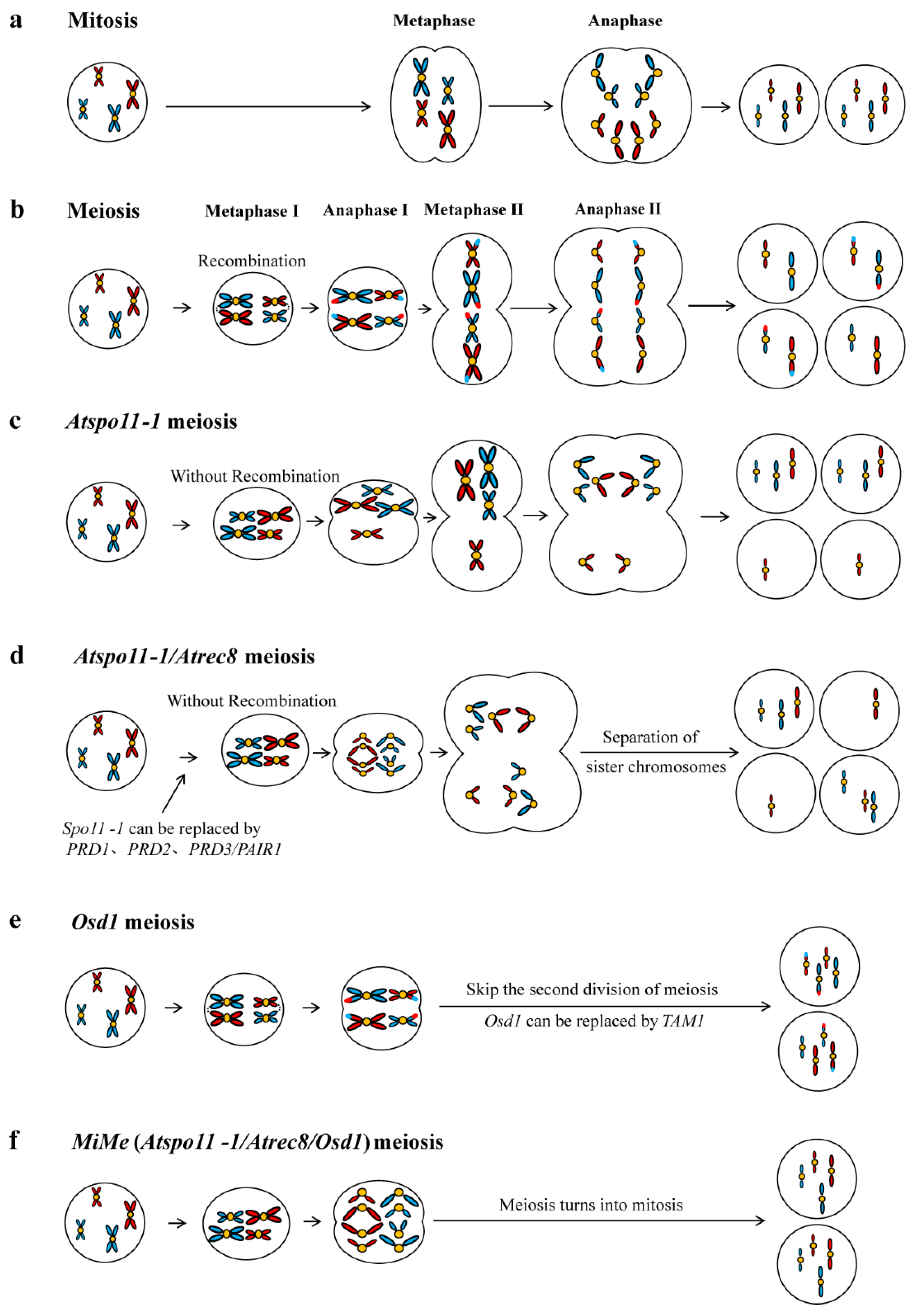 Ijms 25 11378 g002 Ijms 25 11378 g002