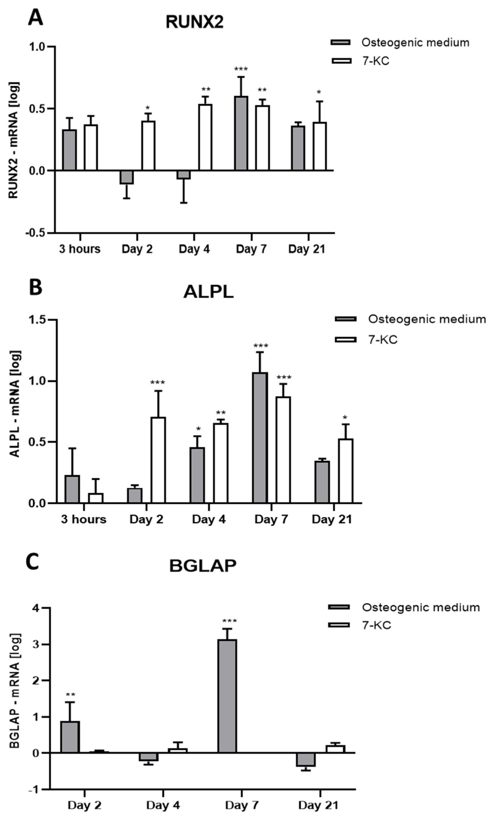 Ijms 25 11380 g002 Ijms 25 11380 g002