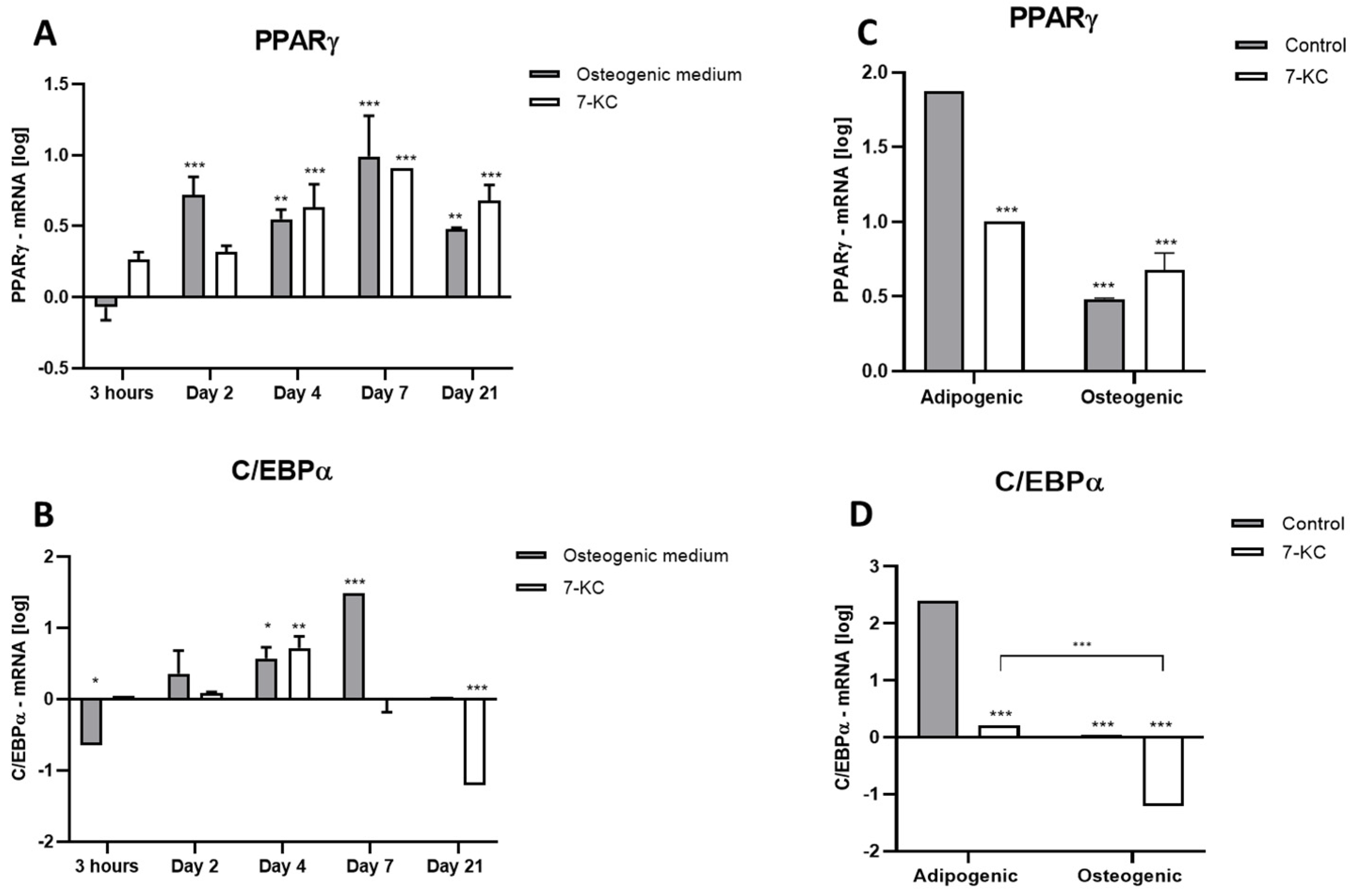 Ijms 25 11380 g003 Ijms 25 11380 g003