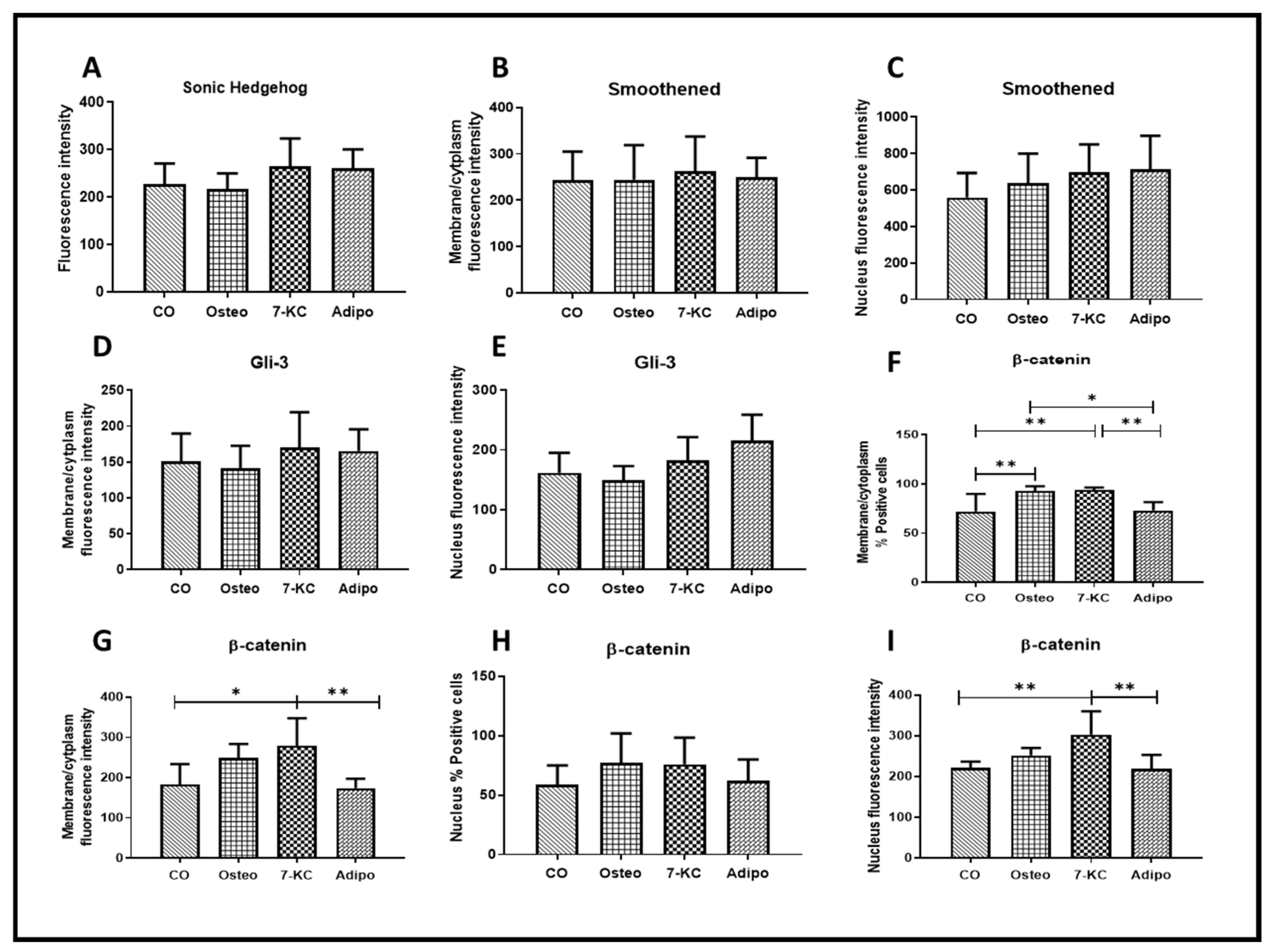 Ijms 25 11380 g004 Ijms 25 11380 g004