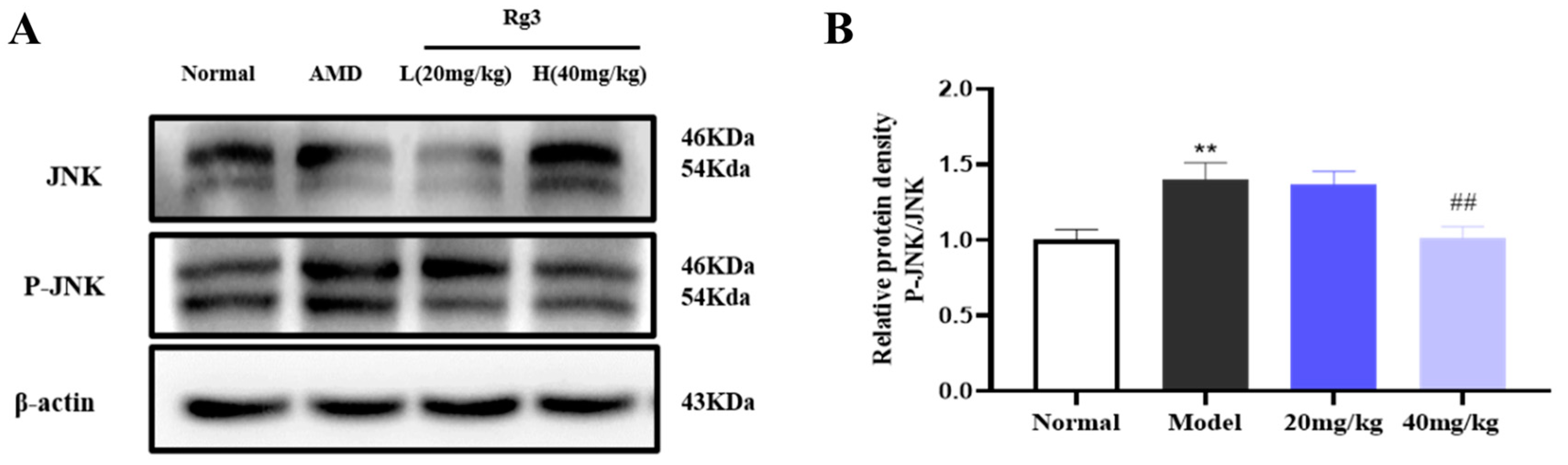 Ijms 25 11414 g003