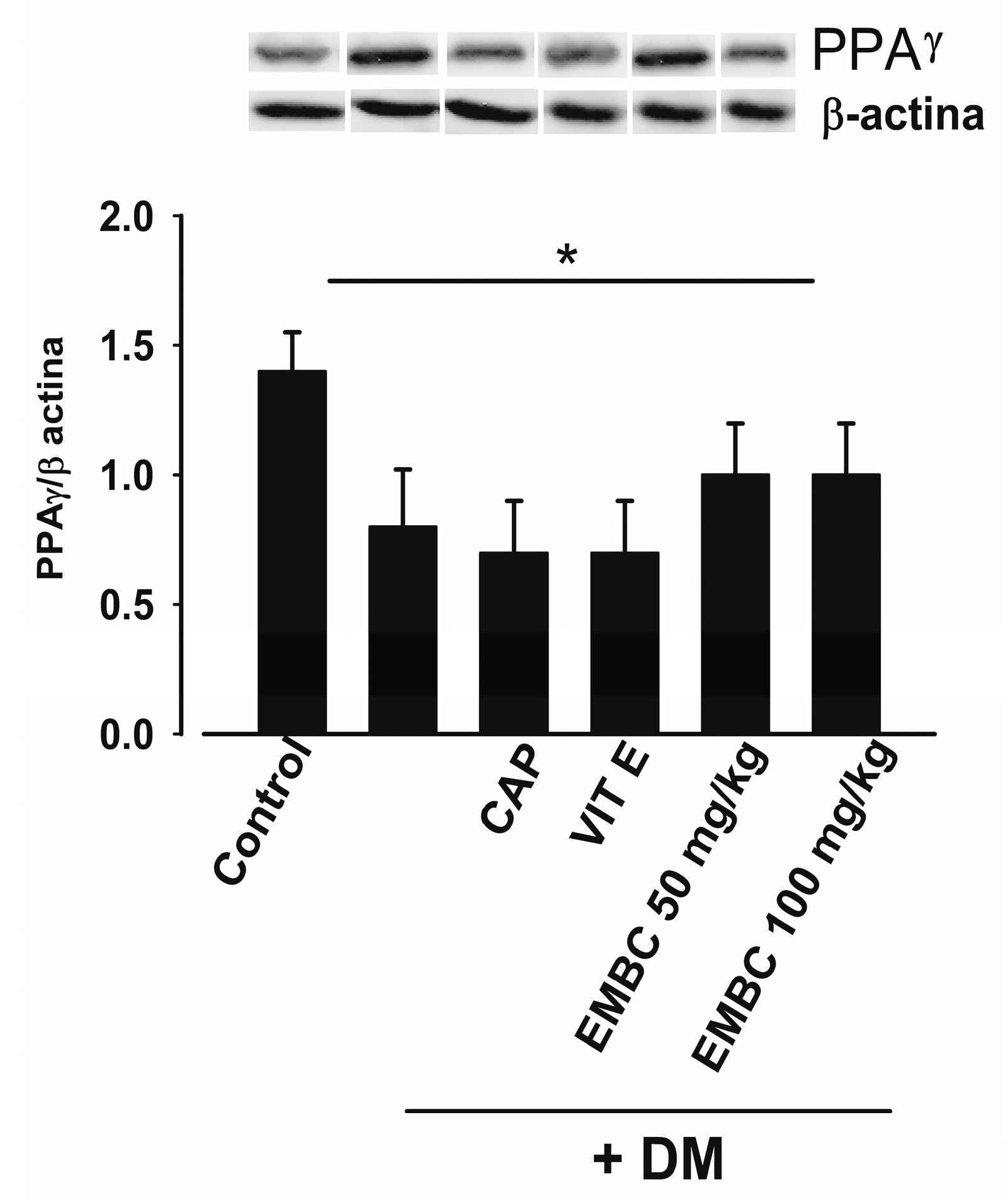 Ijms 25 11432 g005 Ijms 25 11432 g005