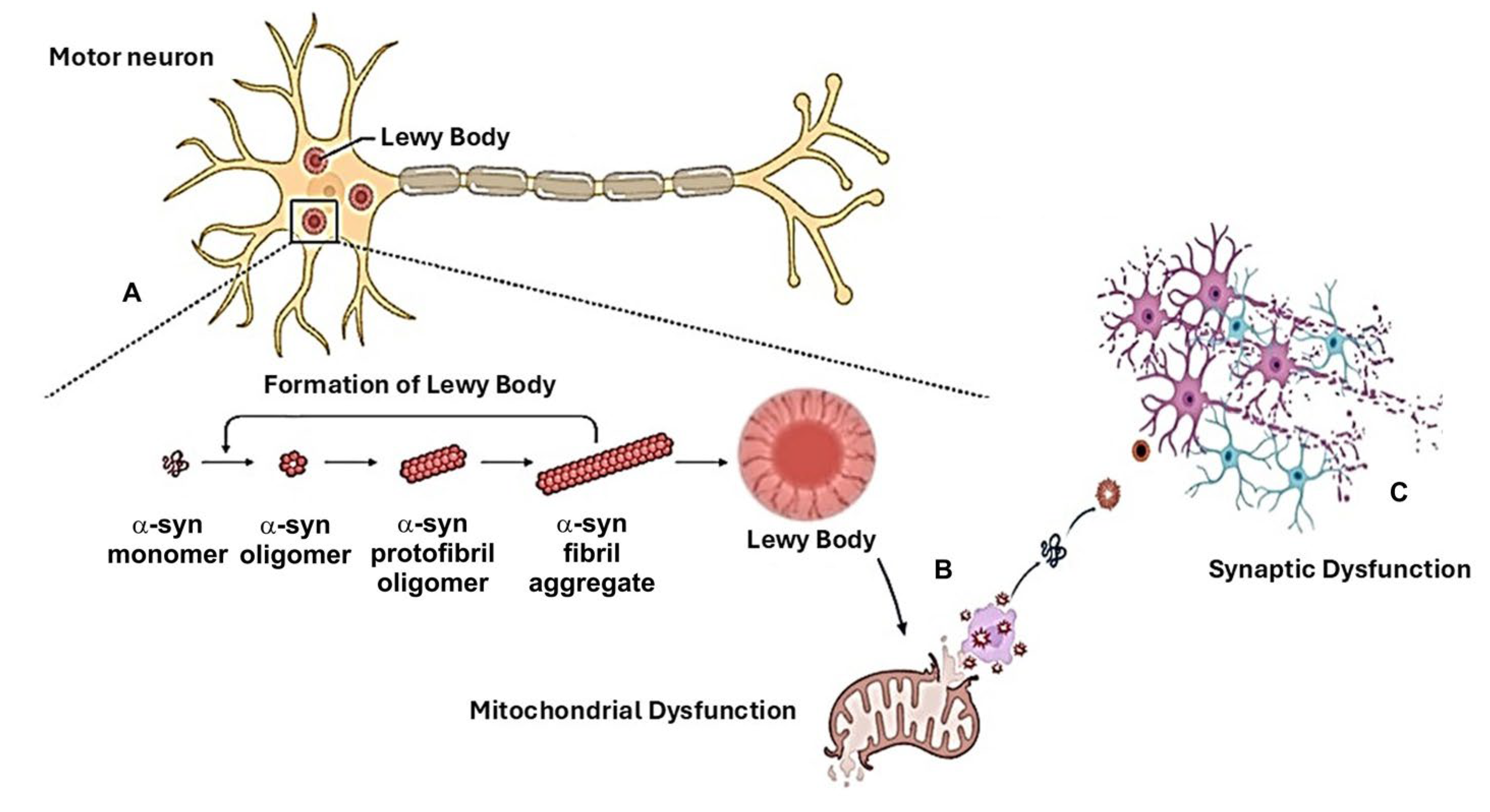 Ijms 25 11490 g002 Ijms 25 11490 g002
