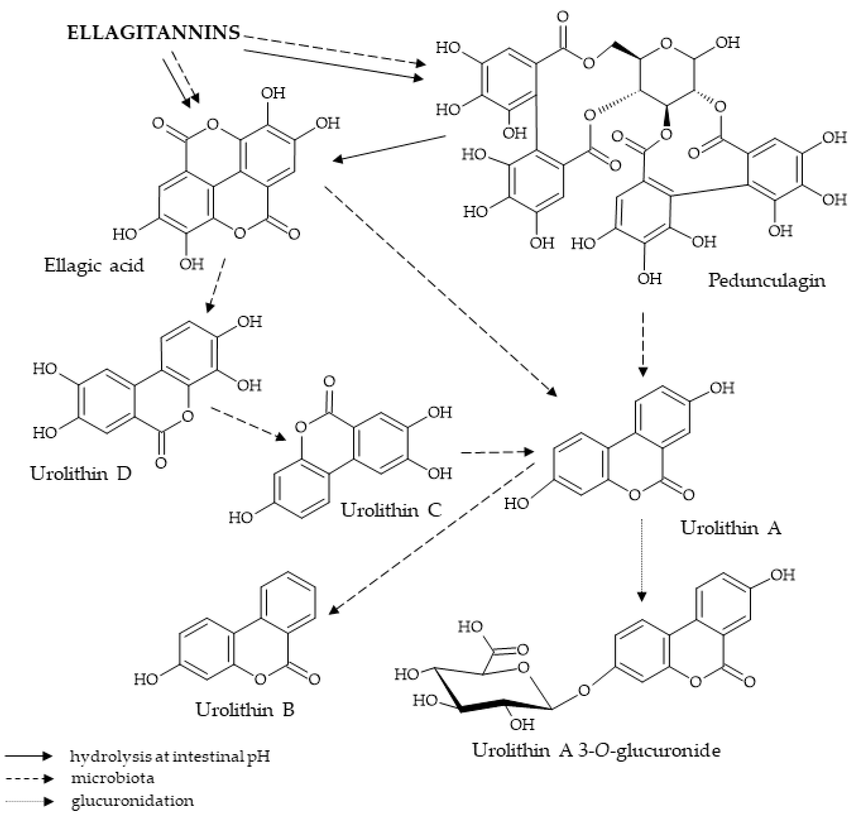 Ijms 25 11511 g002 Ijms 25 11511 g002