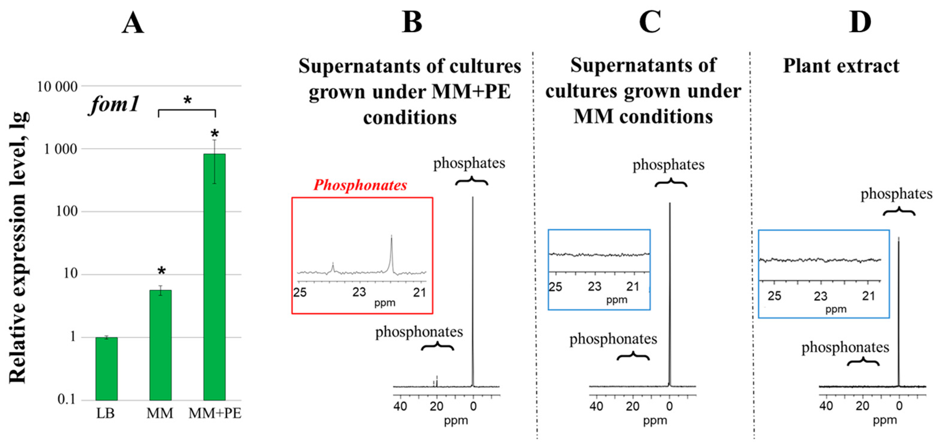 Ijms 25 11516 g001 Ijms 25 11516 g001