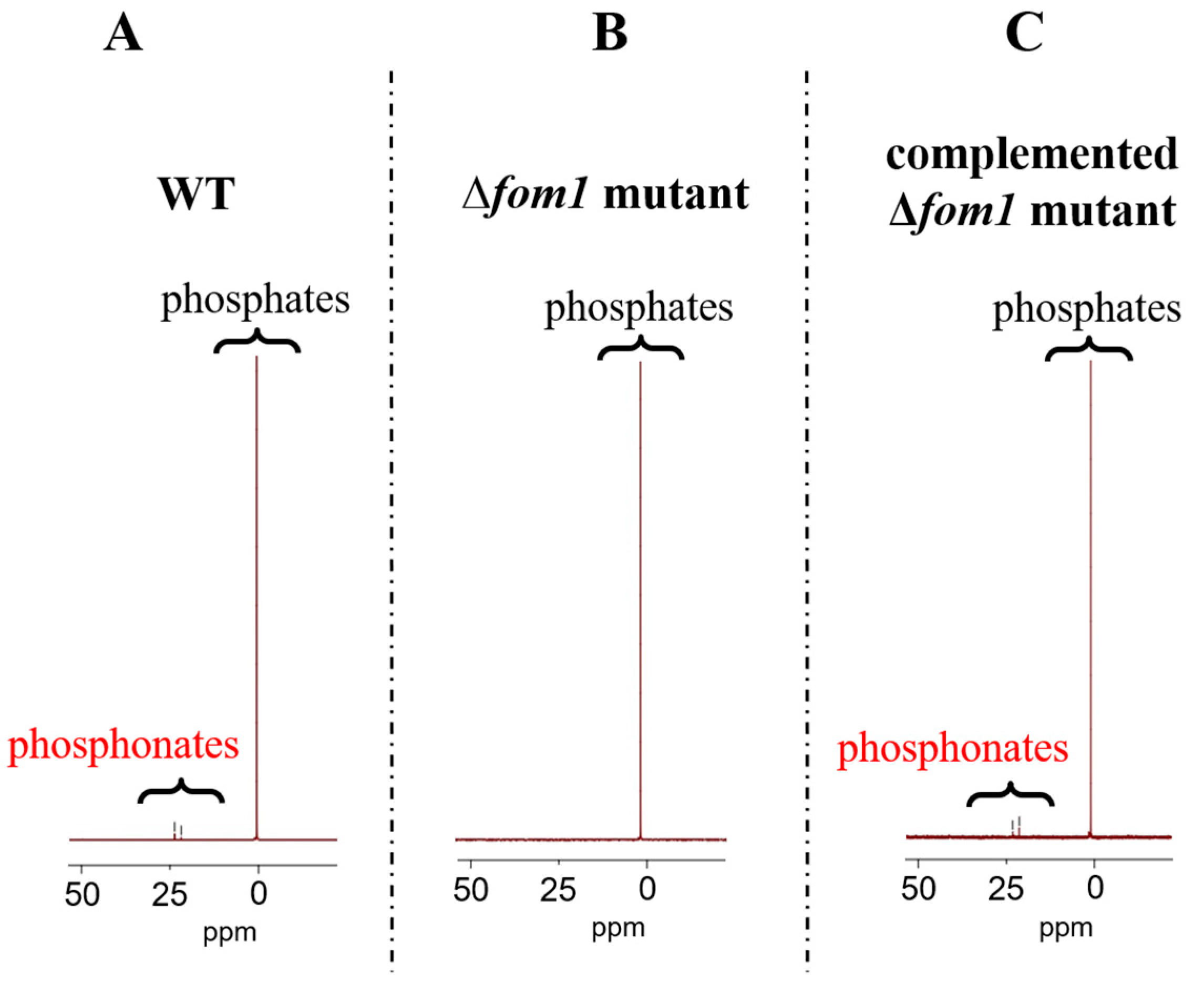 Ijms 25 11516 g002 Ijms 25 11516 g002