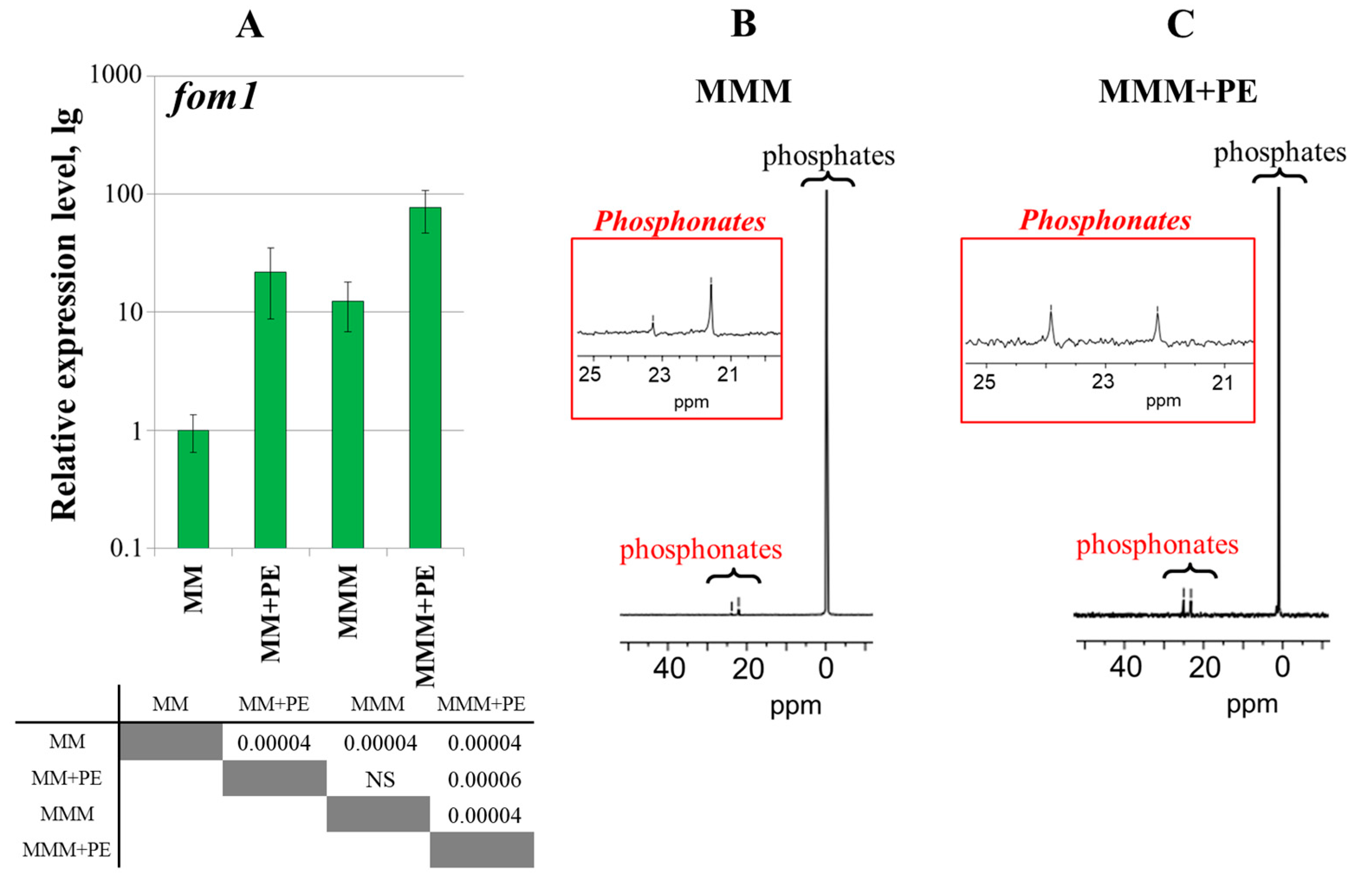Ijms 25 11516 g007 Ijms 25 11516 g007