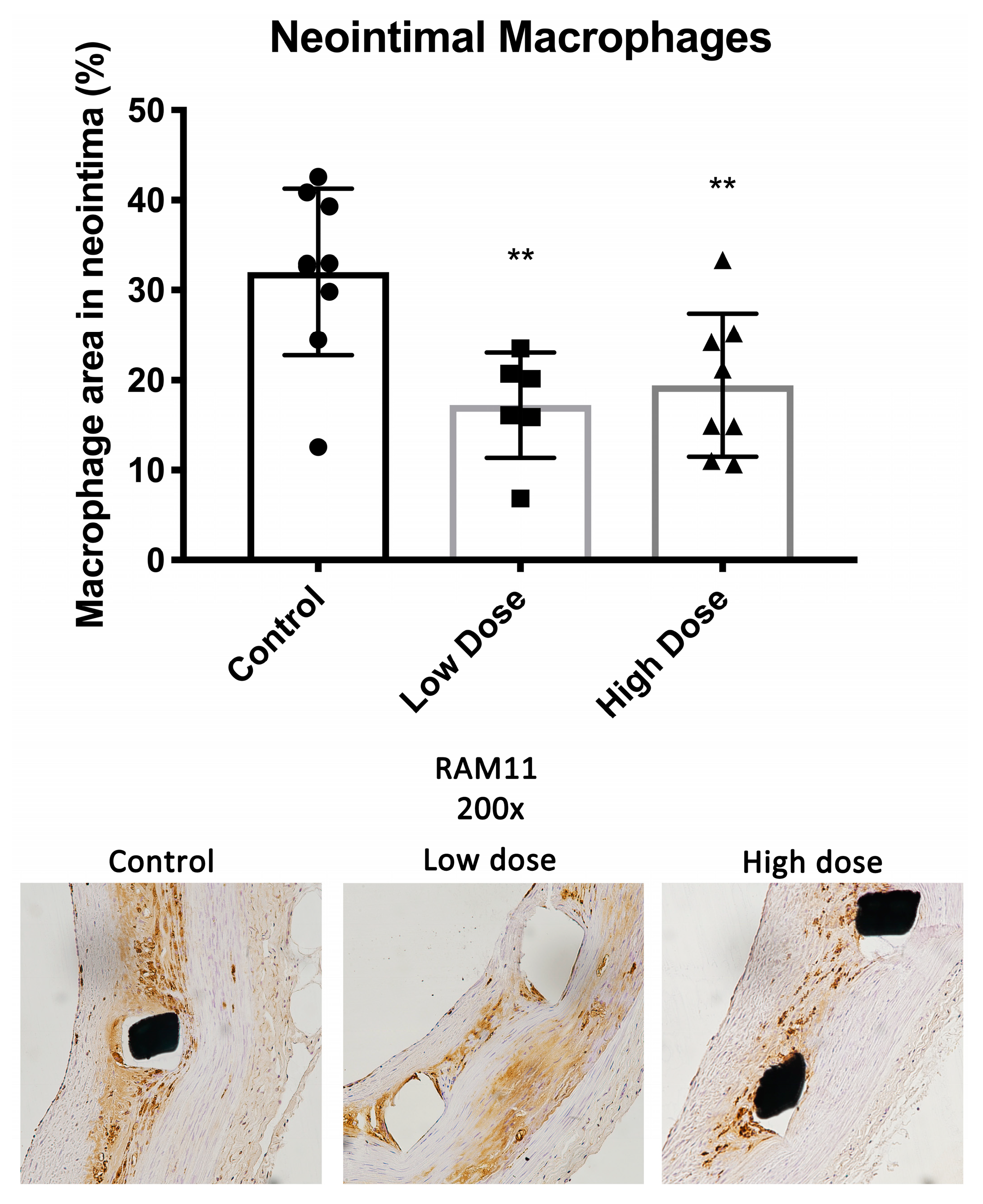 Ijms 25 11530 g002 Ijms 25 11530 g002