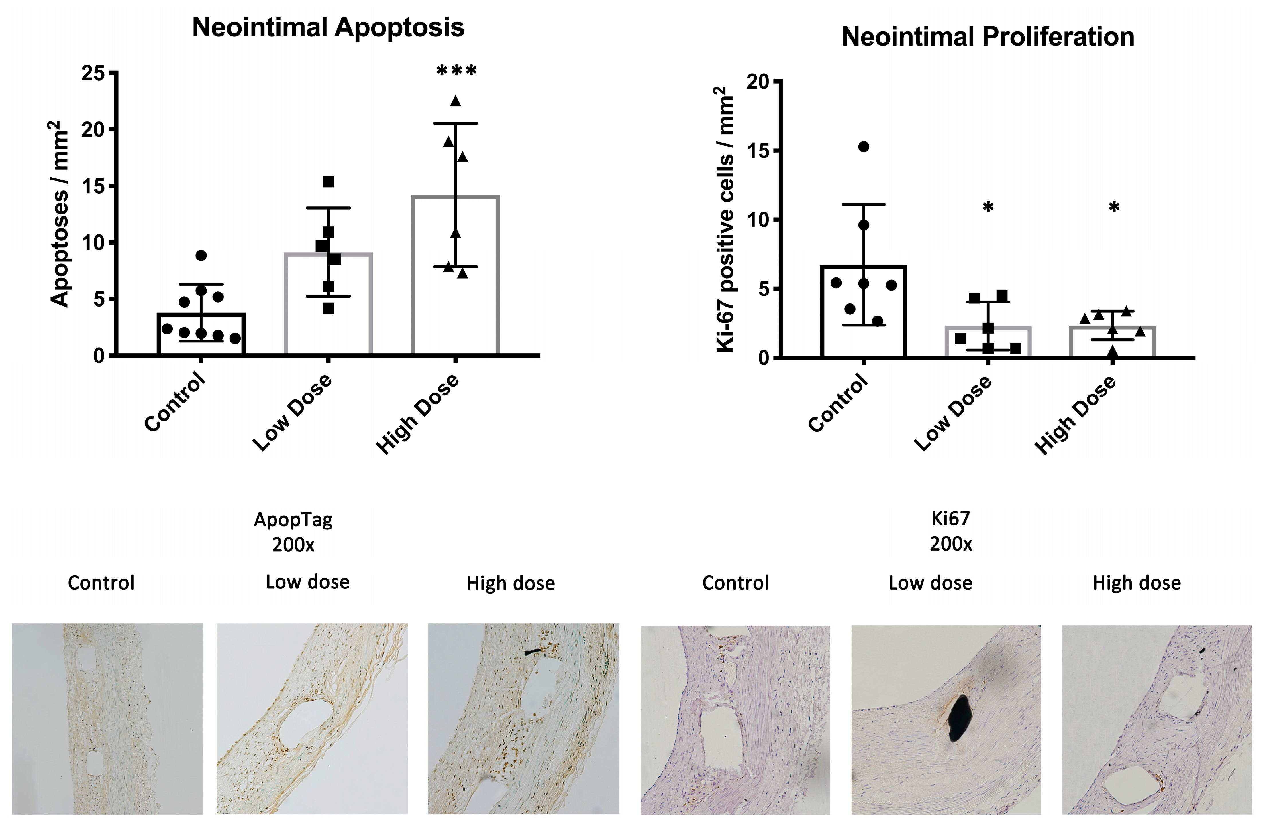 Ijms 25 11530 g003 Ijms 25 11530 g003