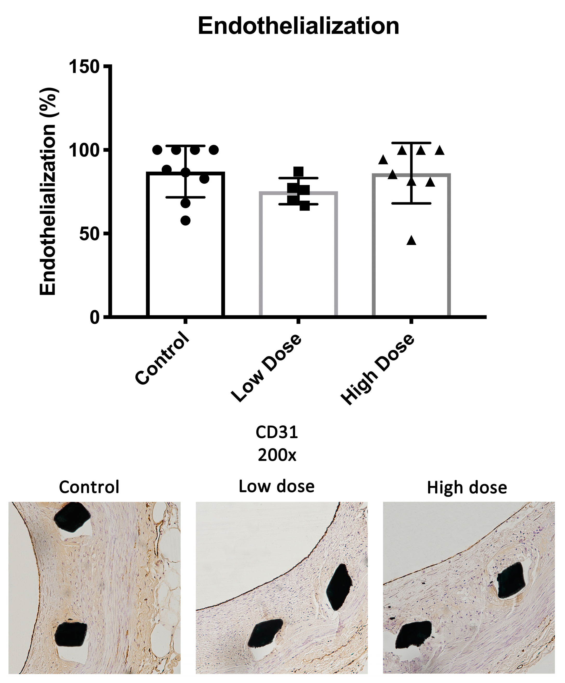 Ijms 25 11530 g004 Ijms 25 11530 g004
