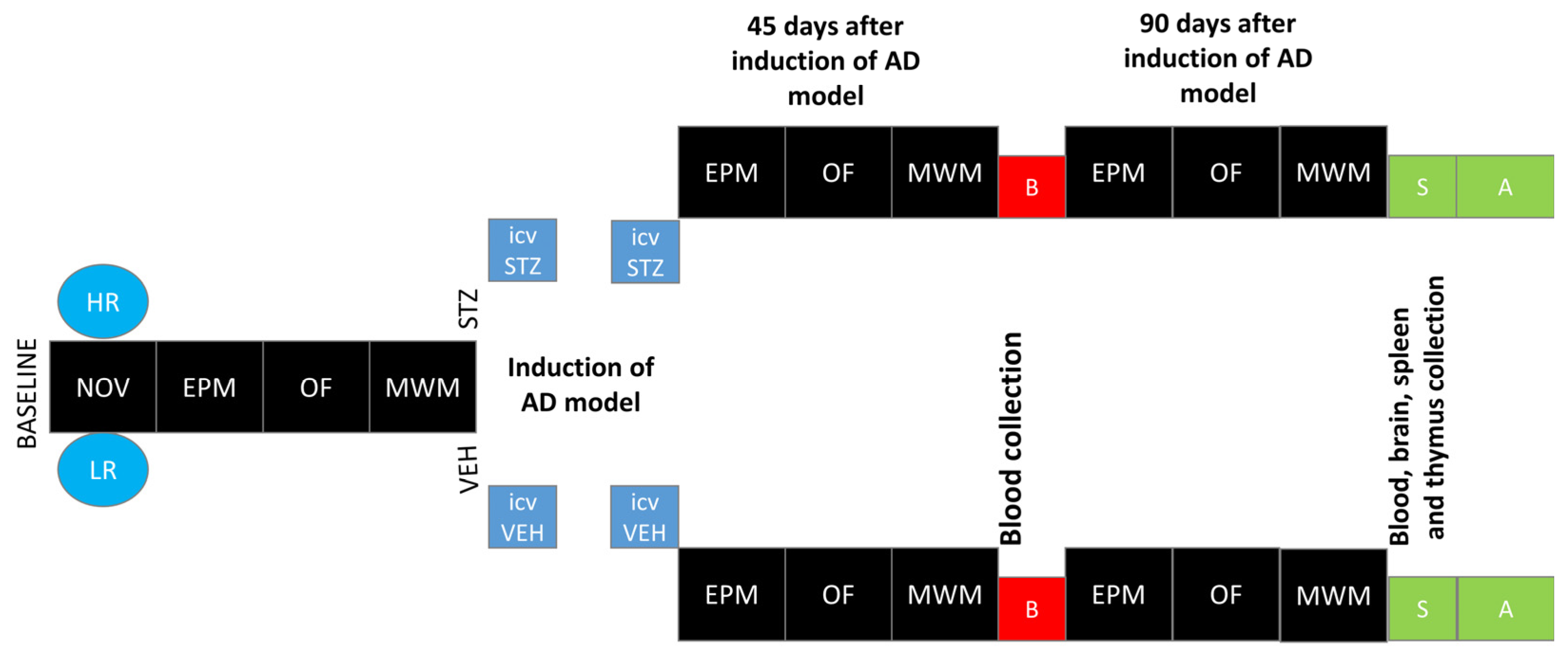 Ijms 25 11562 g007 Ijms 25 11562 g007