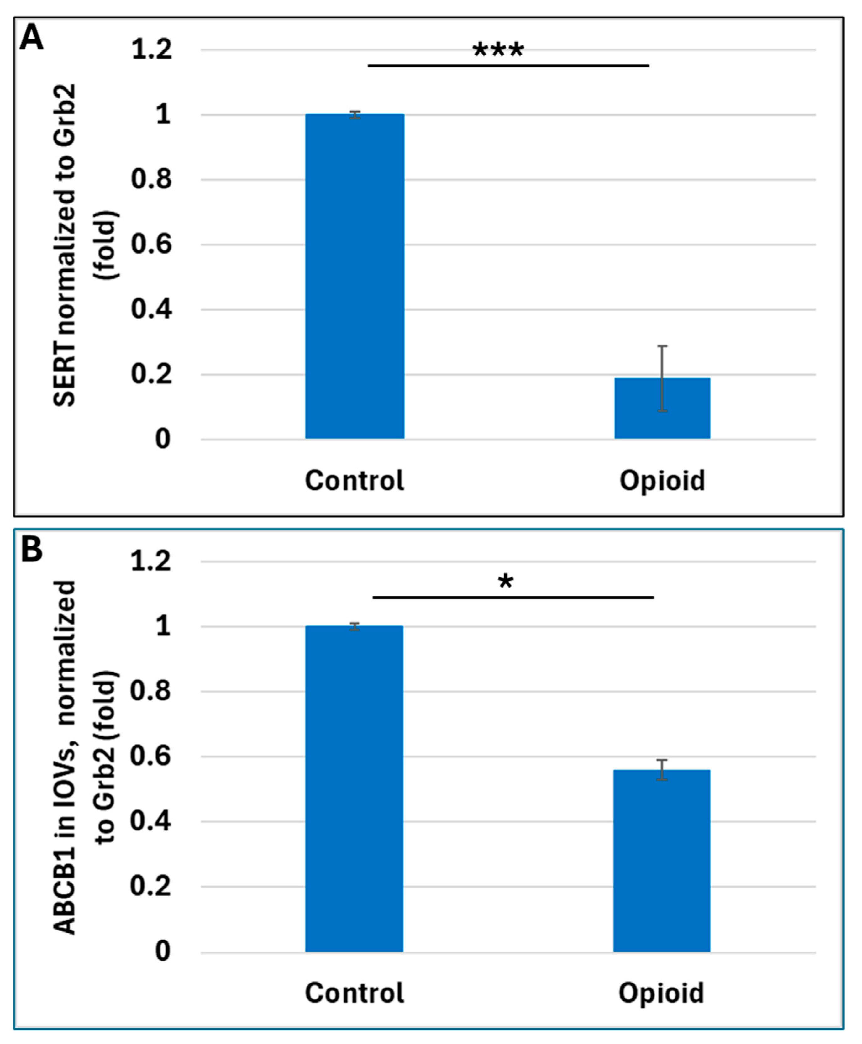 Ijms 25 11570 g001 Ijms 25 11570 g001