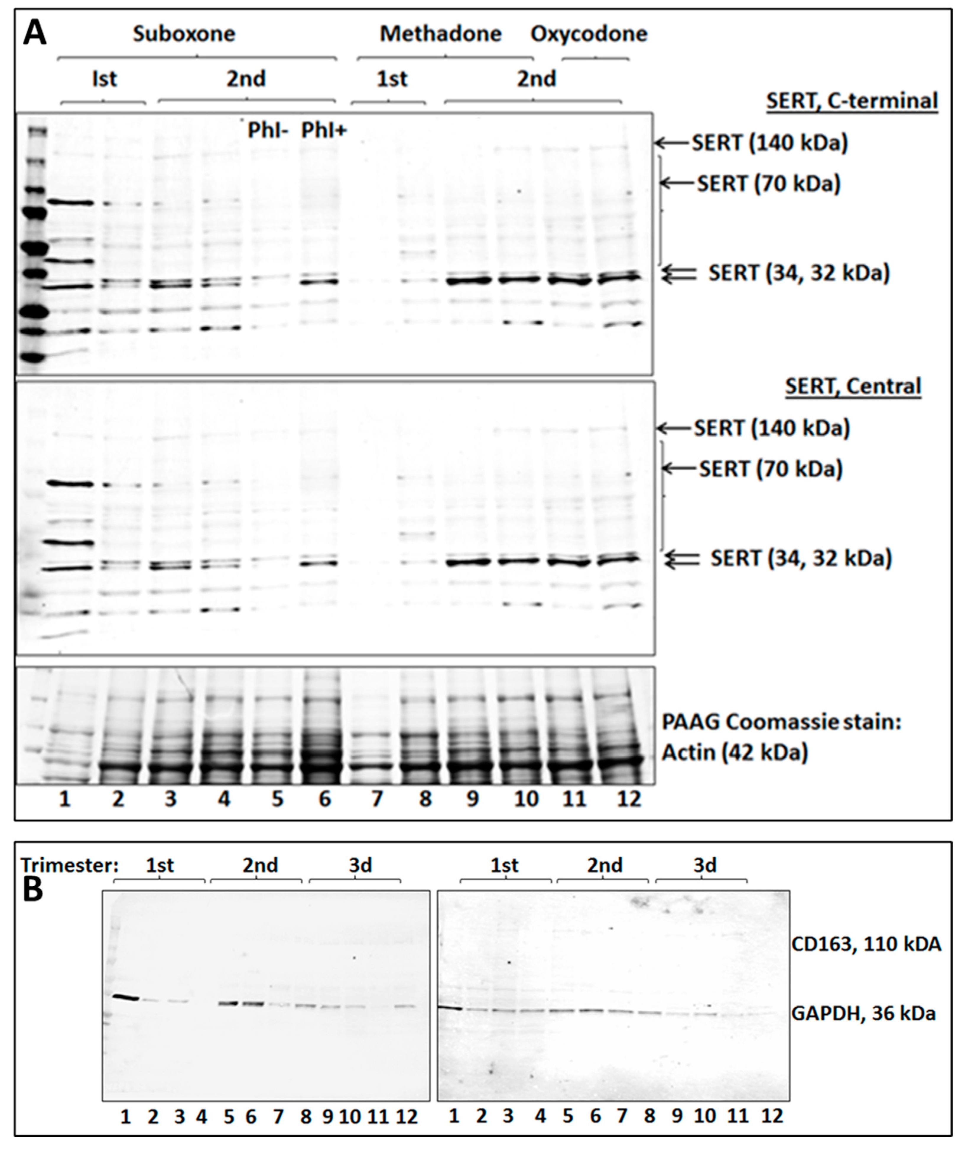 Ijms 25 11570 g003 Ijms 25 11570 g003