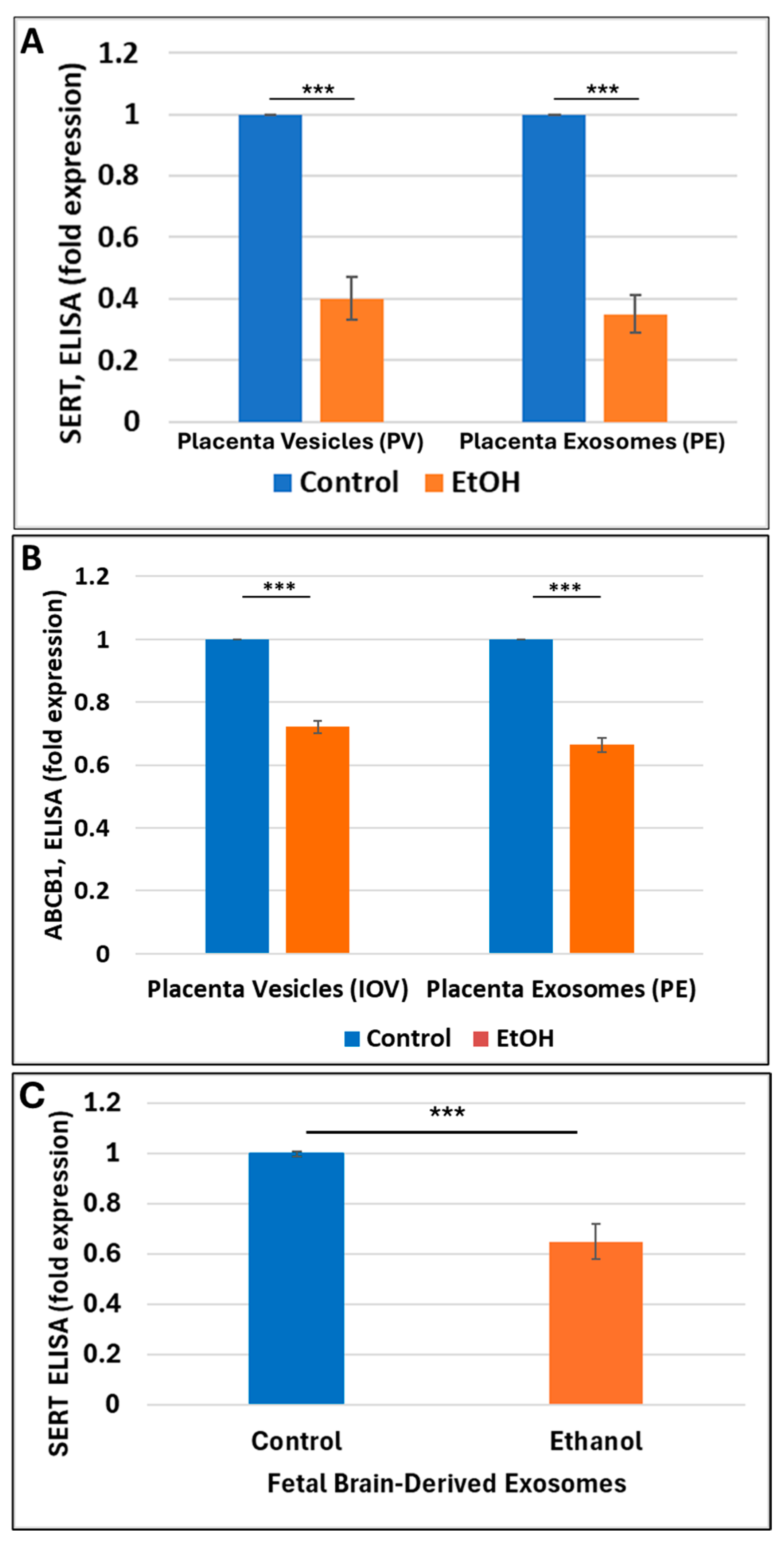 Ijms 25 11570 g005 Ijms 25 11570 g005