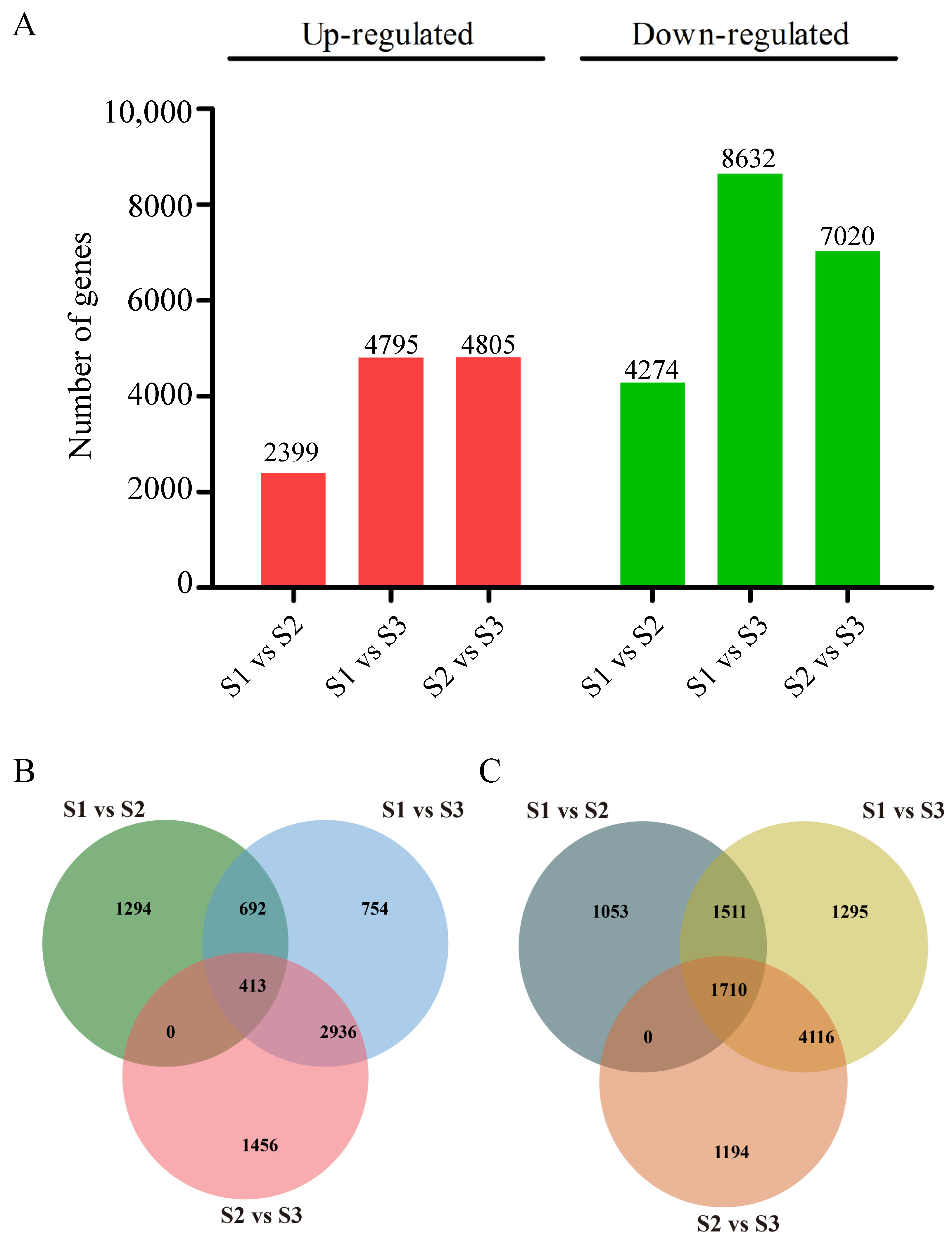 Ijms 25 11571 g004 Ijms 25 11571 g004