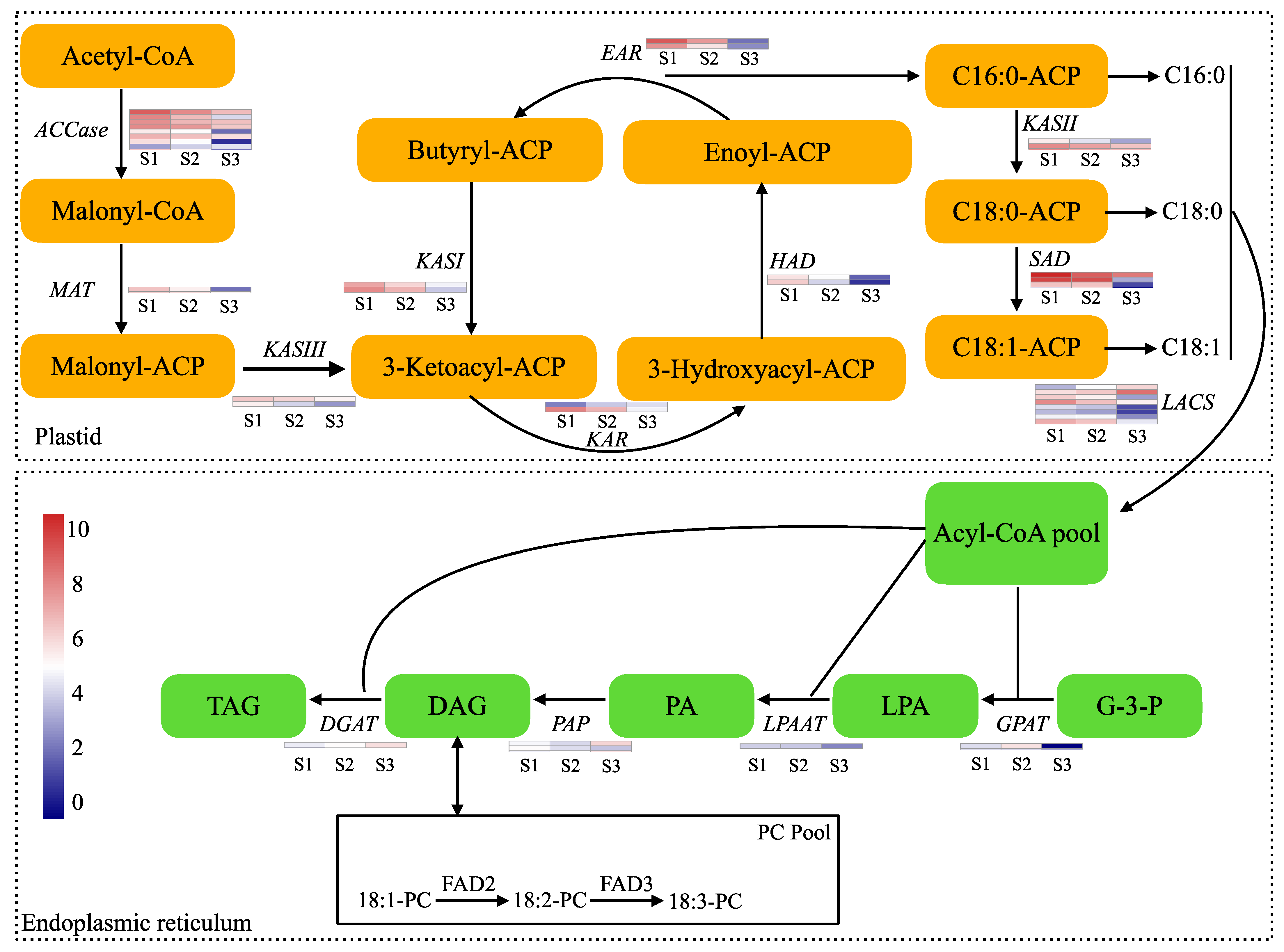 Ijms 25 11571 g005 Ijms 25 11571 g005