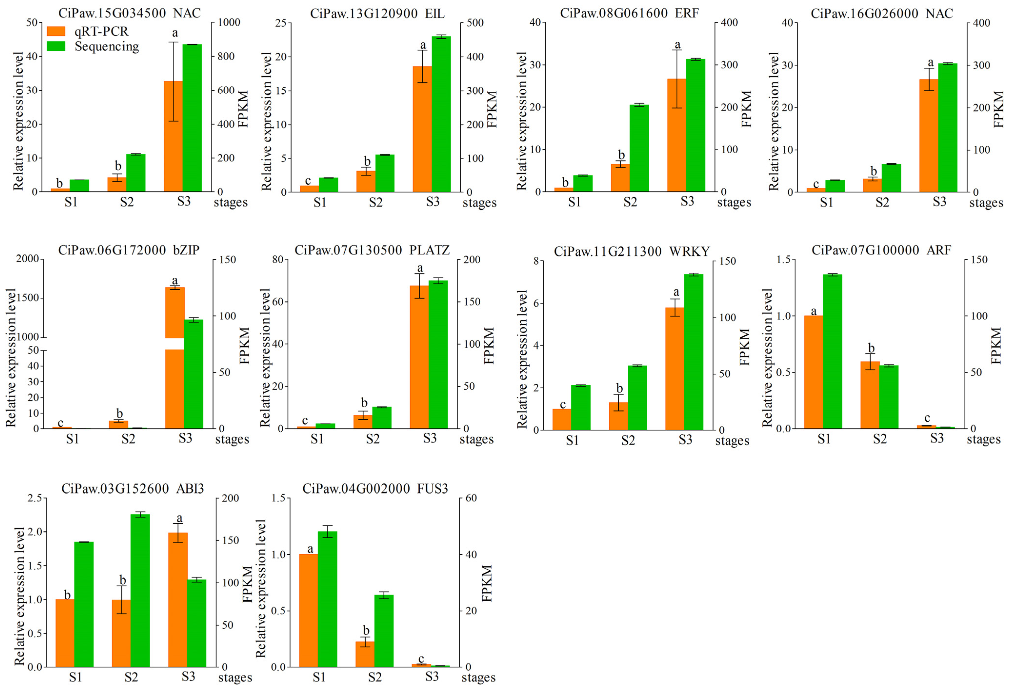 Ijms 25 11571 g008 Ijms 25 11571 g008