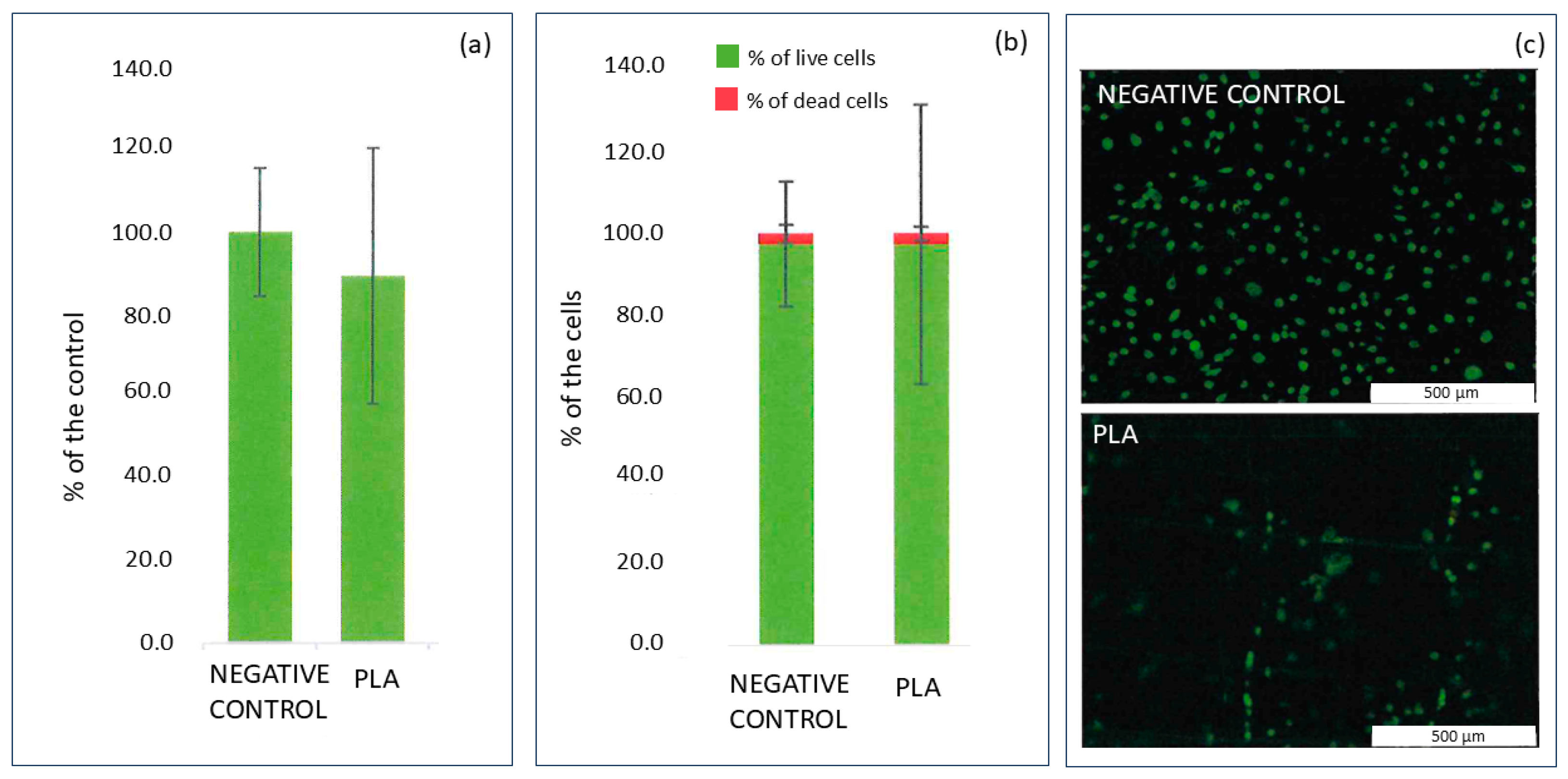 Ijms 25 11587 g001 Ijms 25 11587 g001
