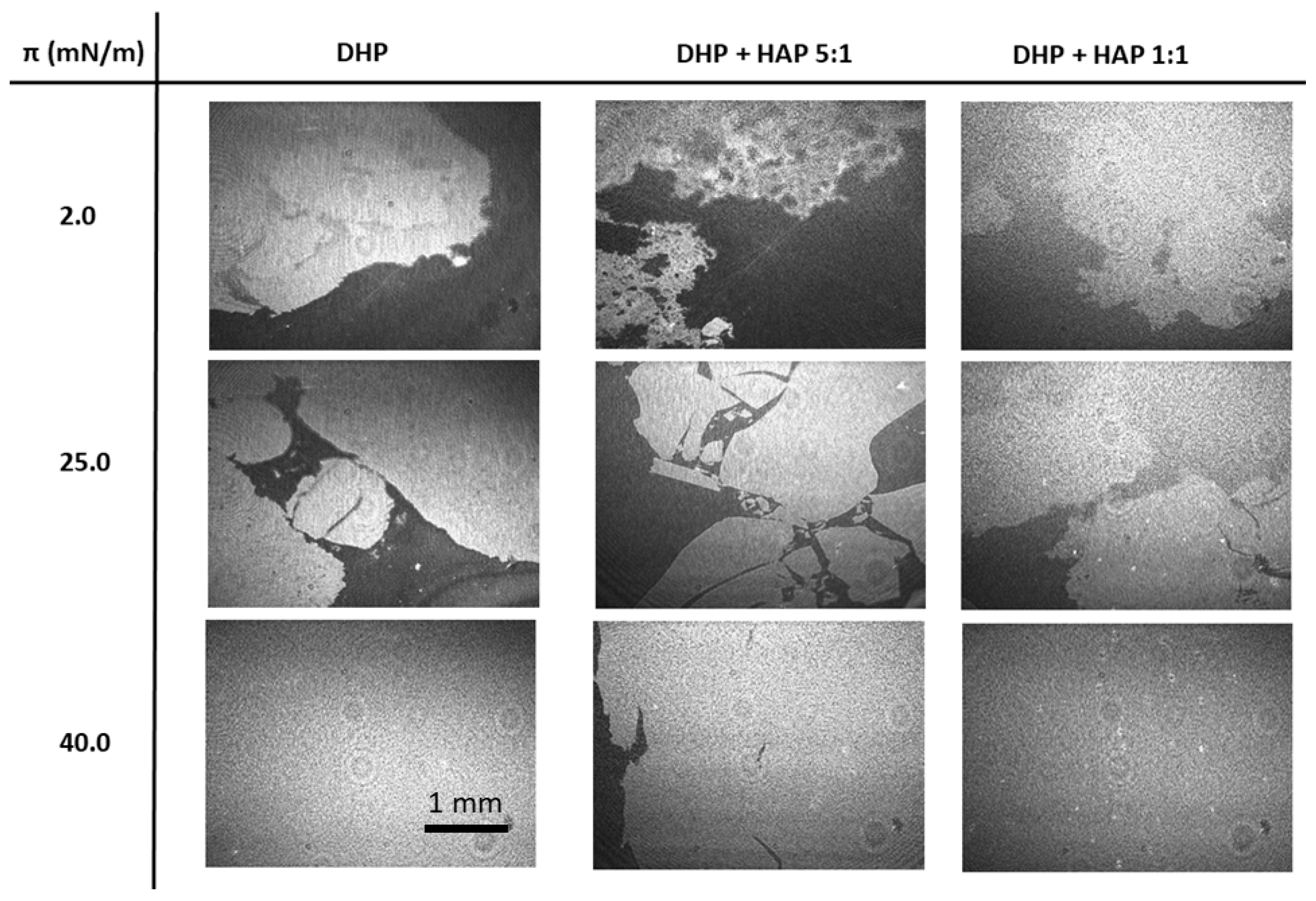 Ijms 25 11587 g003 Ijms 25 11587 g003