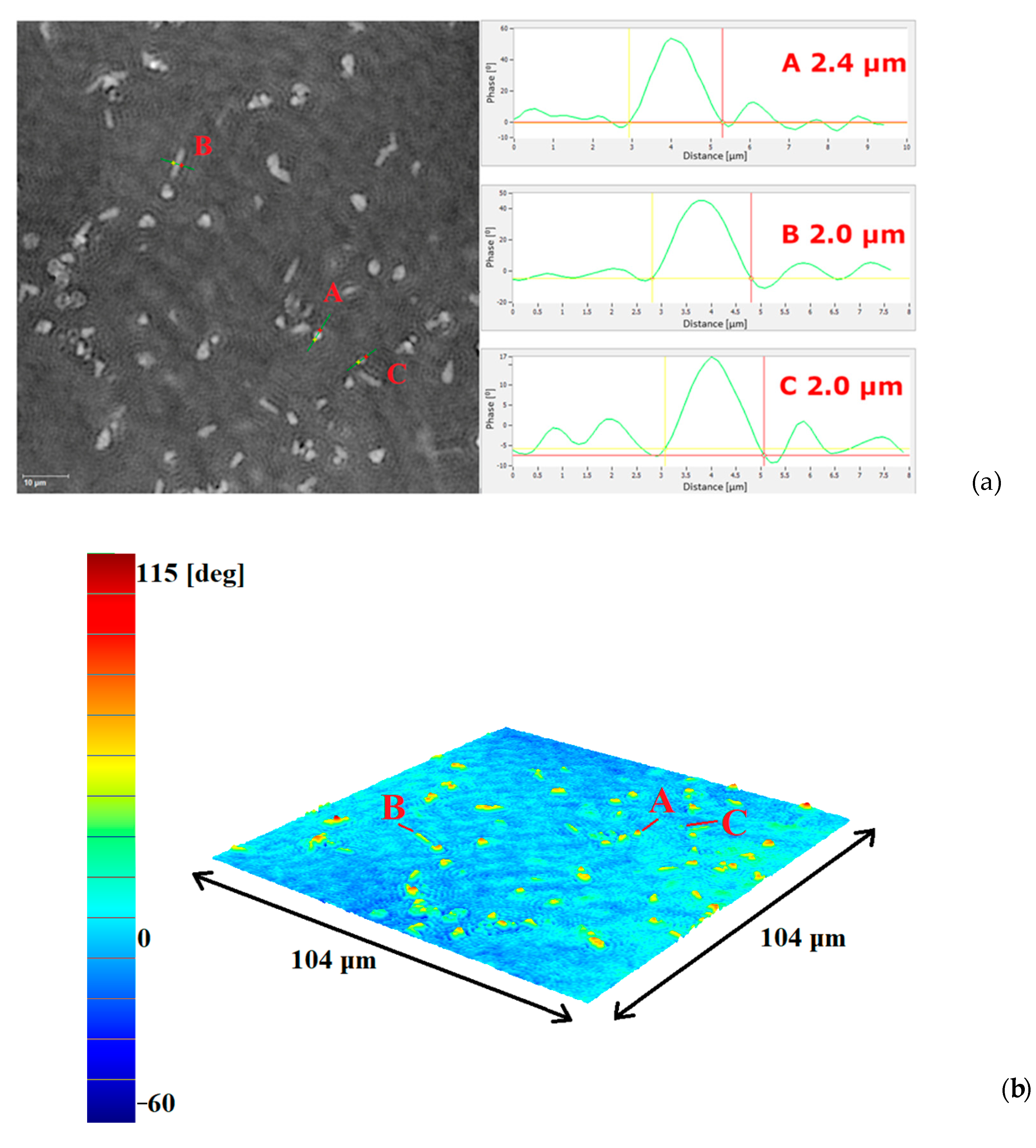 Ijms 25 11587 g005 Ijms 25 11587 g005