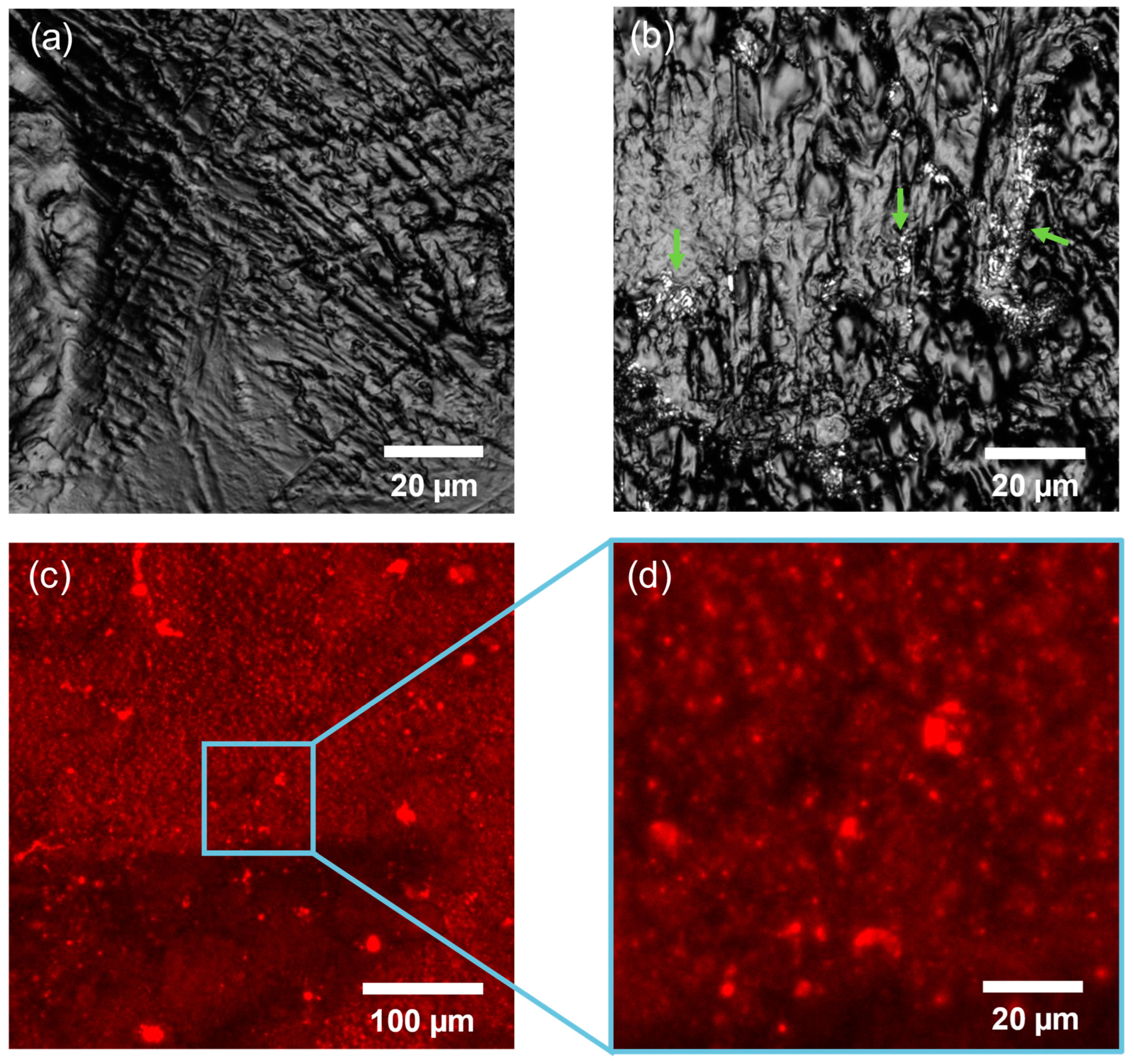 Ijms 25 11587 g006 Ijms 25 11587 g006