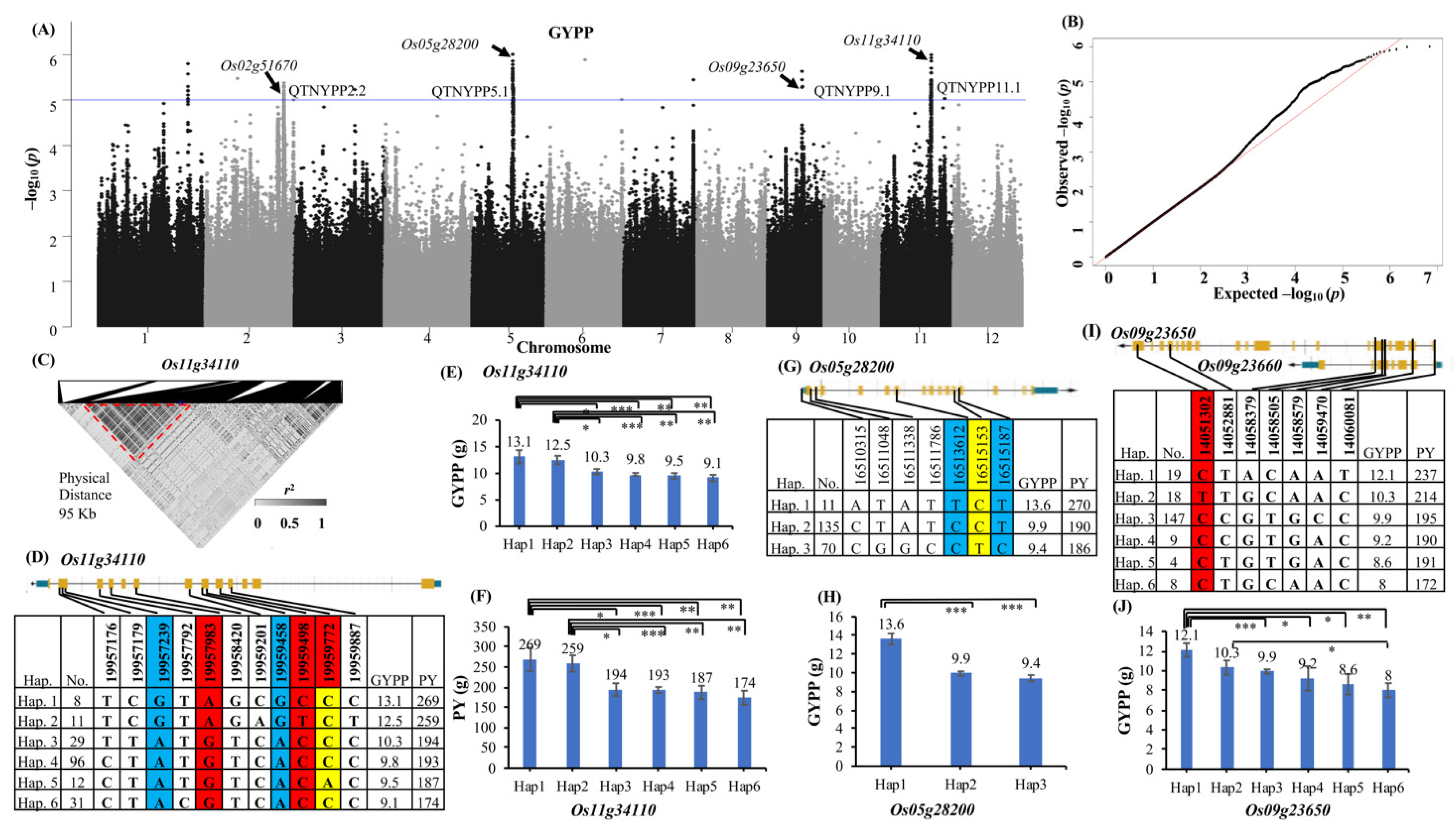 Ijms 25 11673 g002 Ijms 25 11673 g002