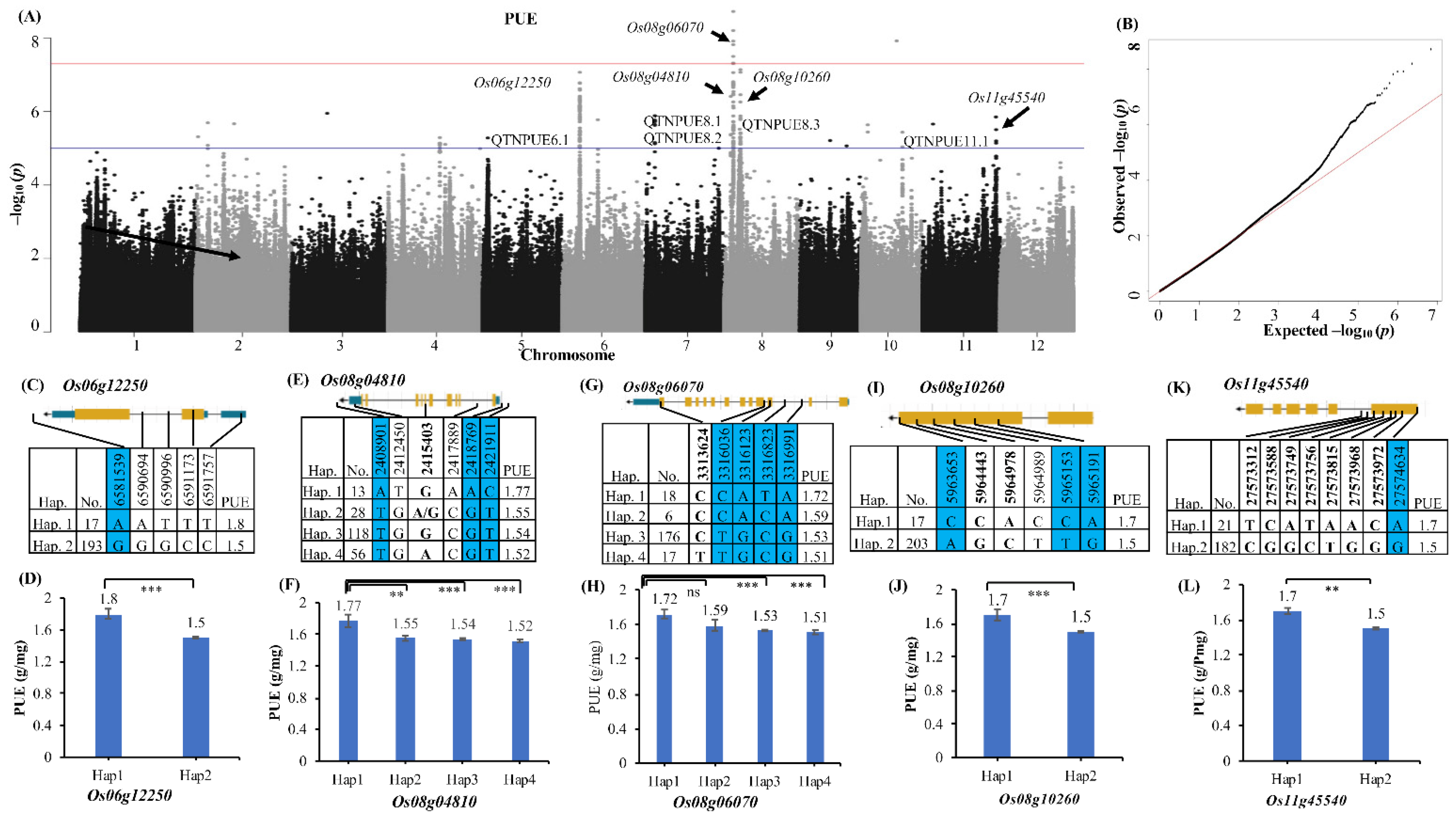 Ijms 25 11673 g003 Ijms 25 11673 g003
