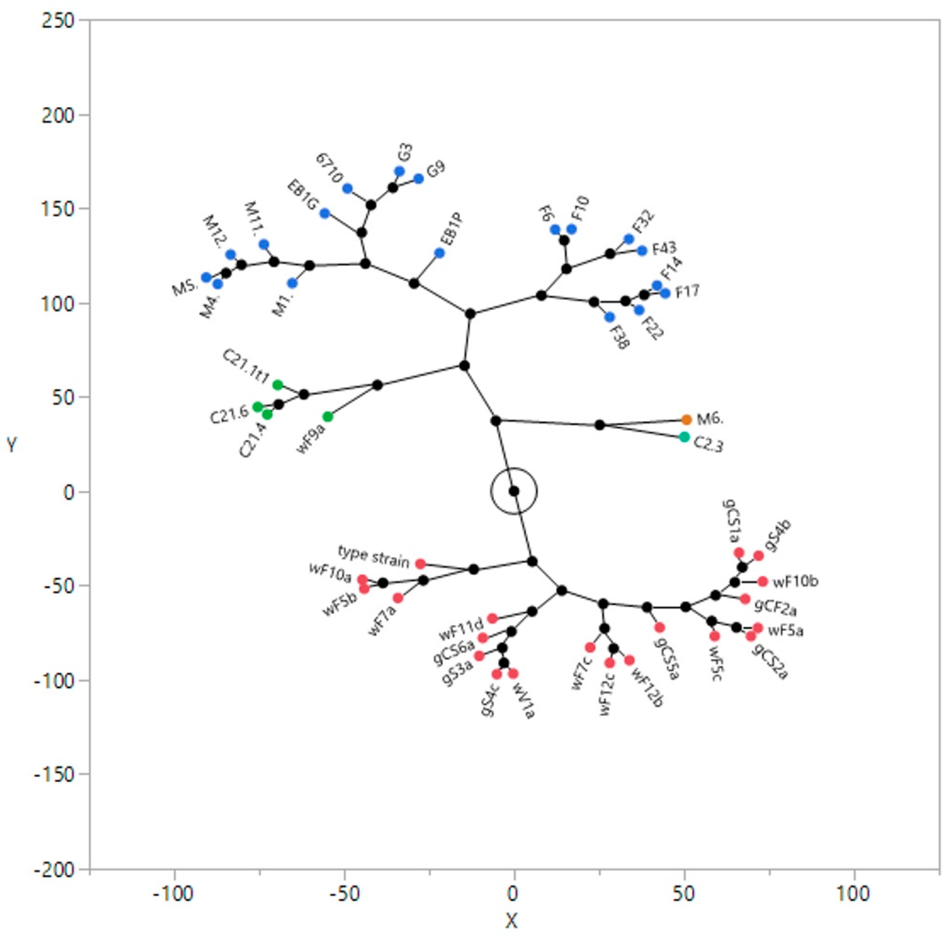 Ijms 25 11781 g001 Ijms 25 11781 g001